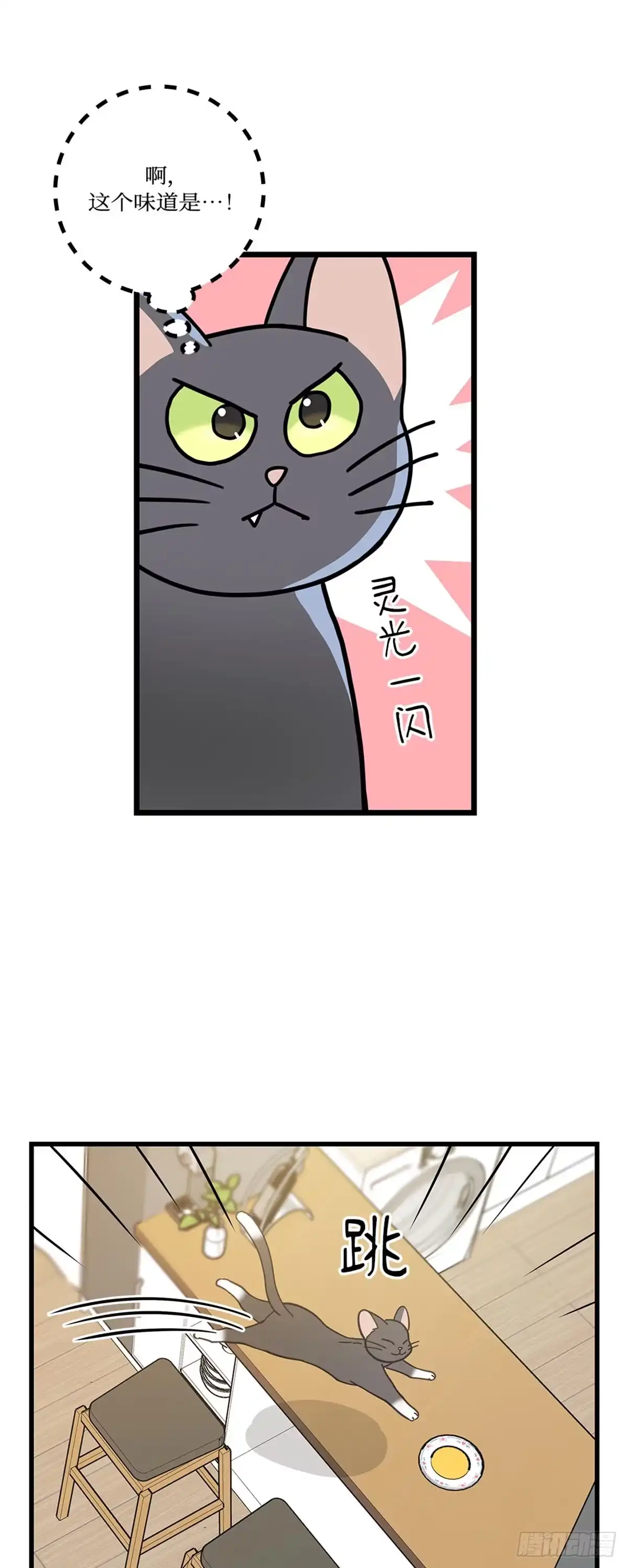 我独一无二的猫咪 第30话 第25页