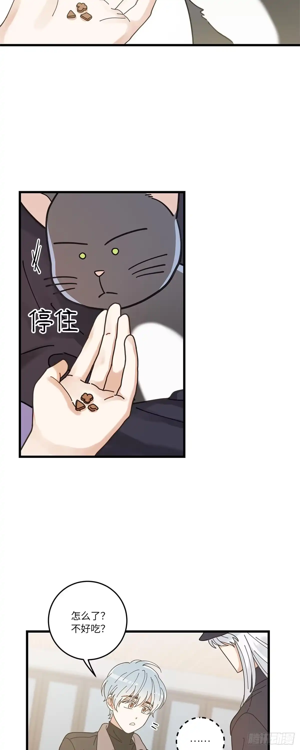 我独一无二的猫咪 第30话 第14页