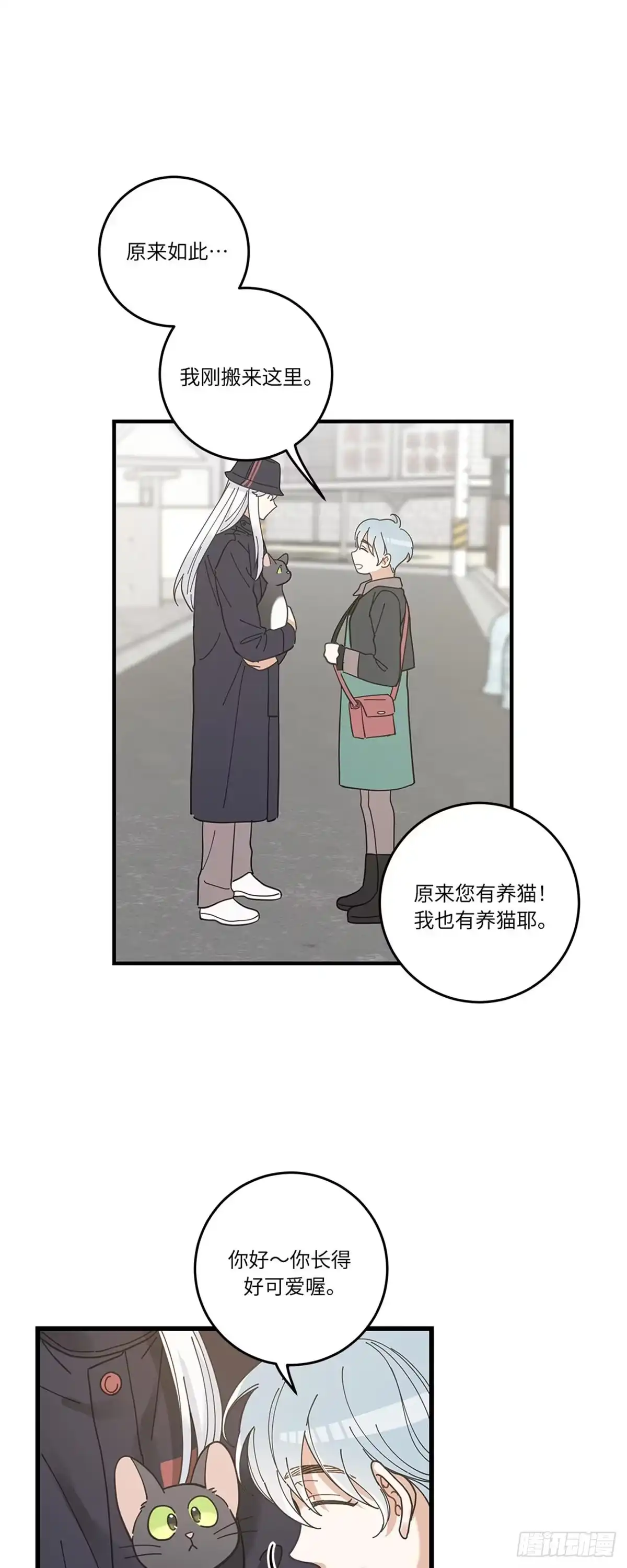 我独一无二的猫咪 第30话 第11页