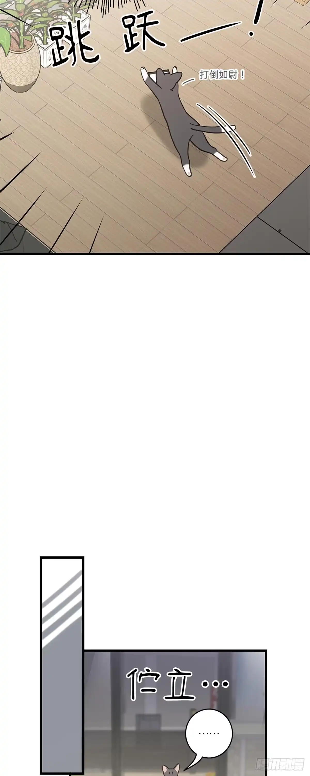 我独一无二的猫咪 第31话 第12页