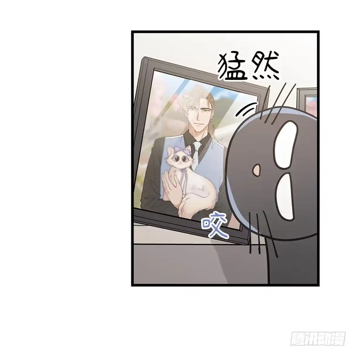 我独一无二的猫咪 第31话 第10页