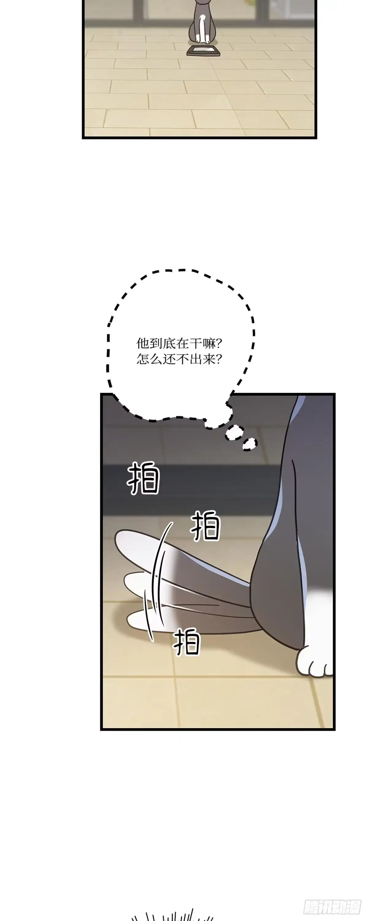 我独一无二的猫咪 第31话 第13页
