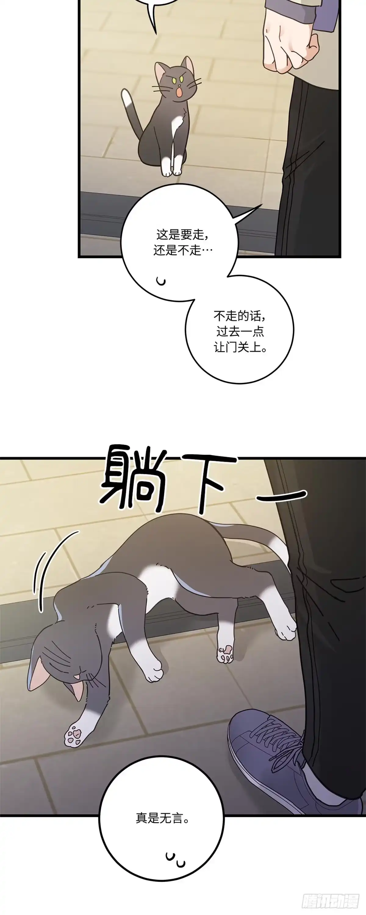 我独一无二的猫咪 第31话 第3页