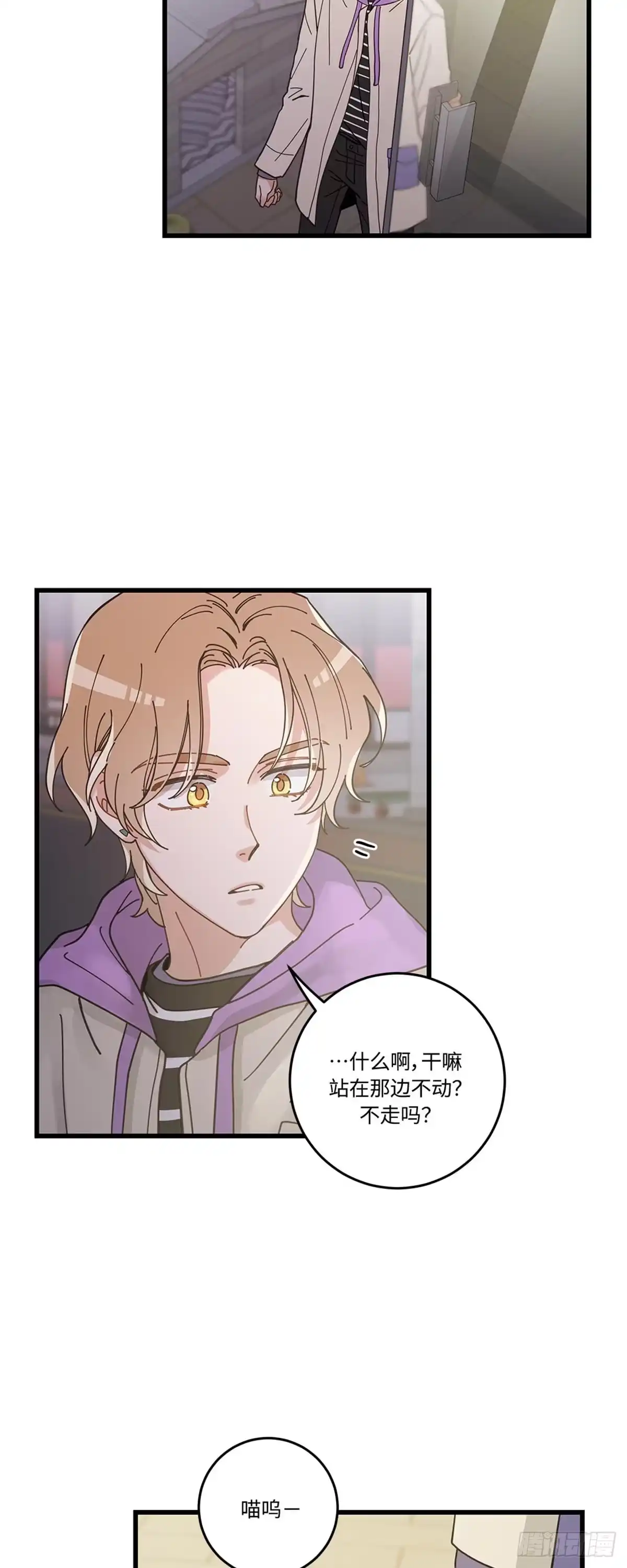 我独一无二的猫咪 第31话 第2页