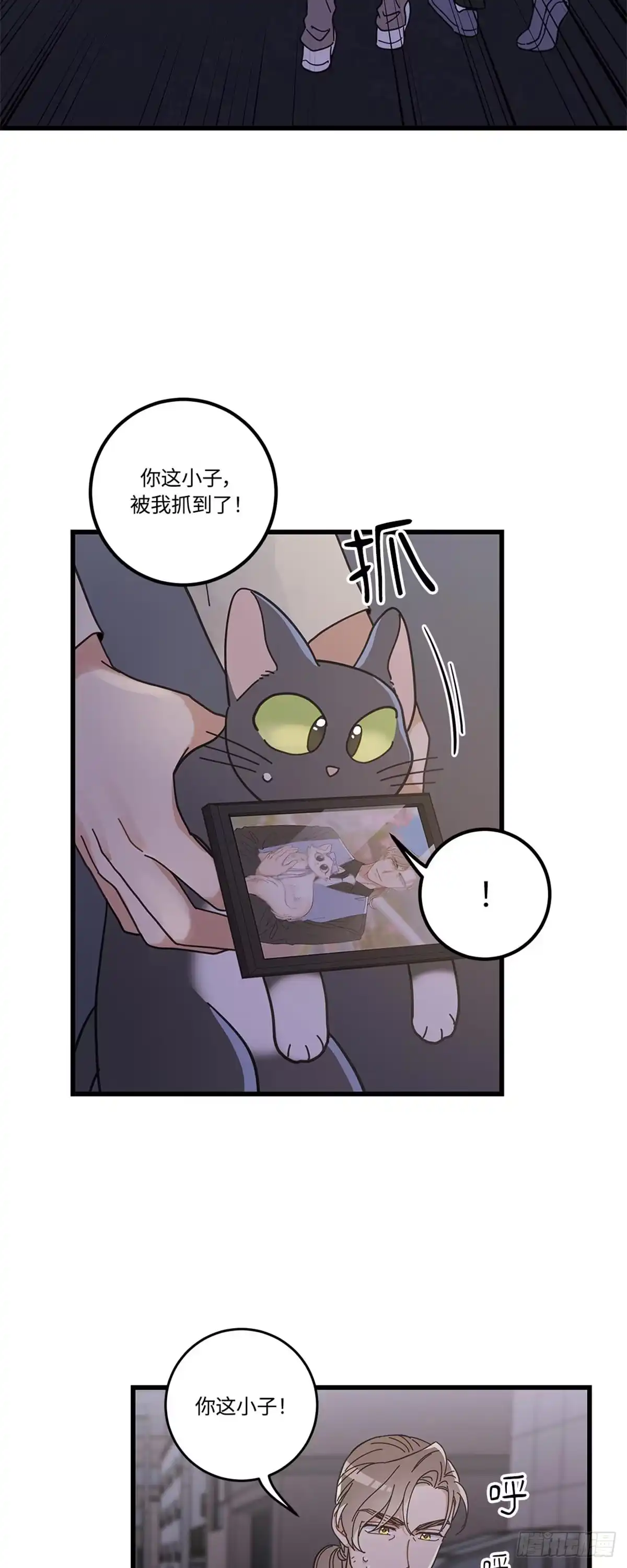 我独一无二的猫咪 第31话 第36页