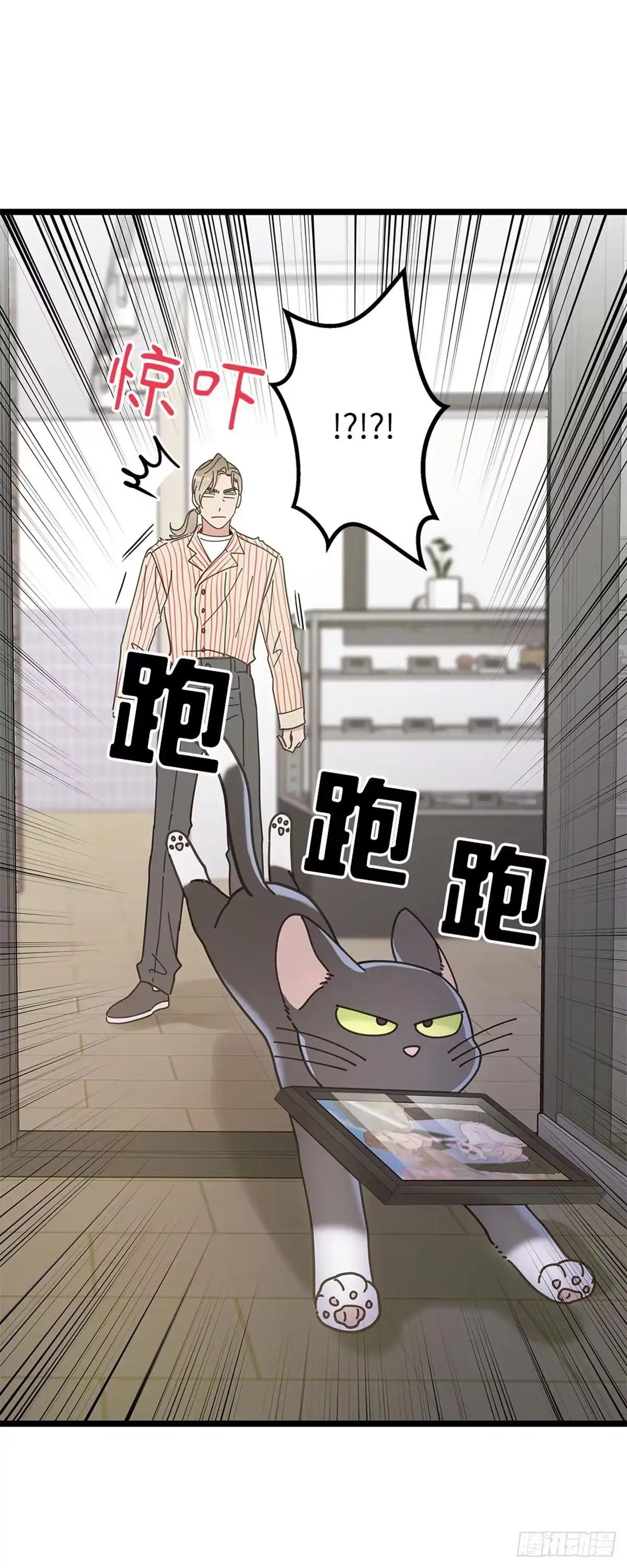 我独一无二的猫咪 第31话 第17页