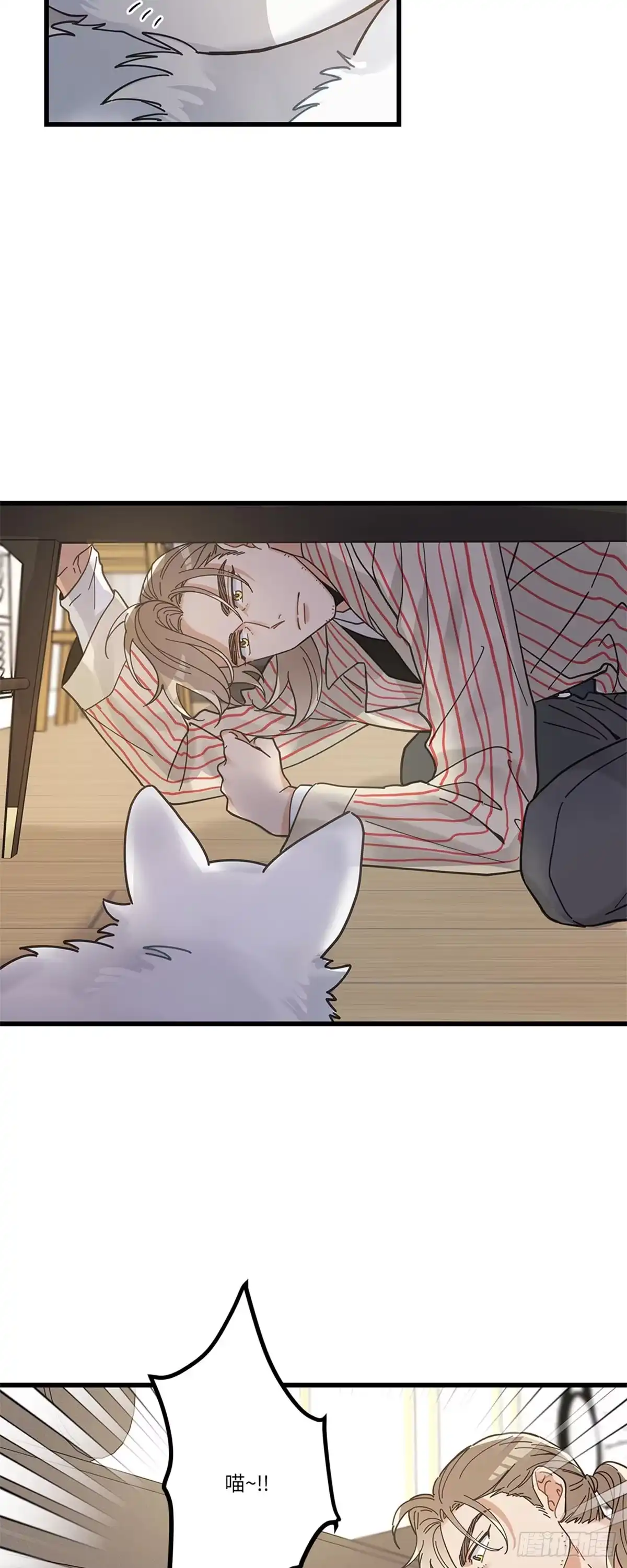 我独一无二的猫咪 第32话 第34页