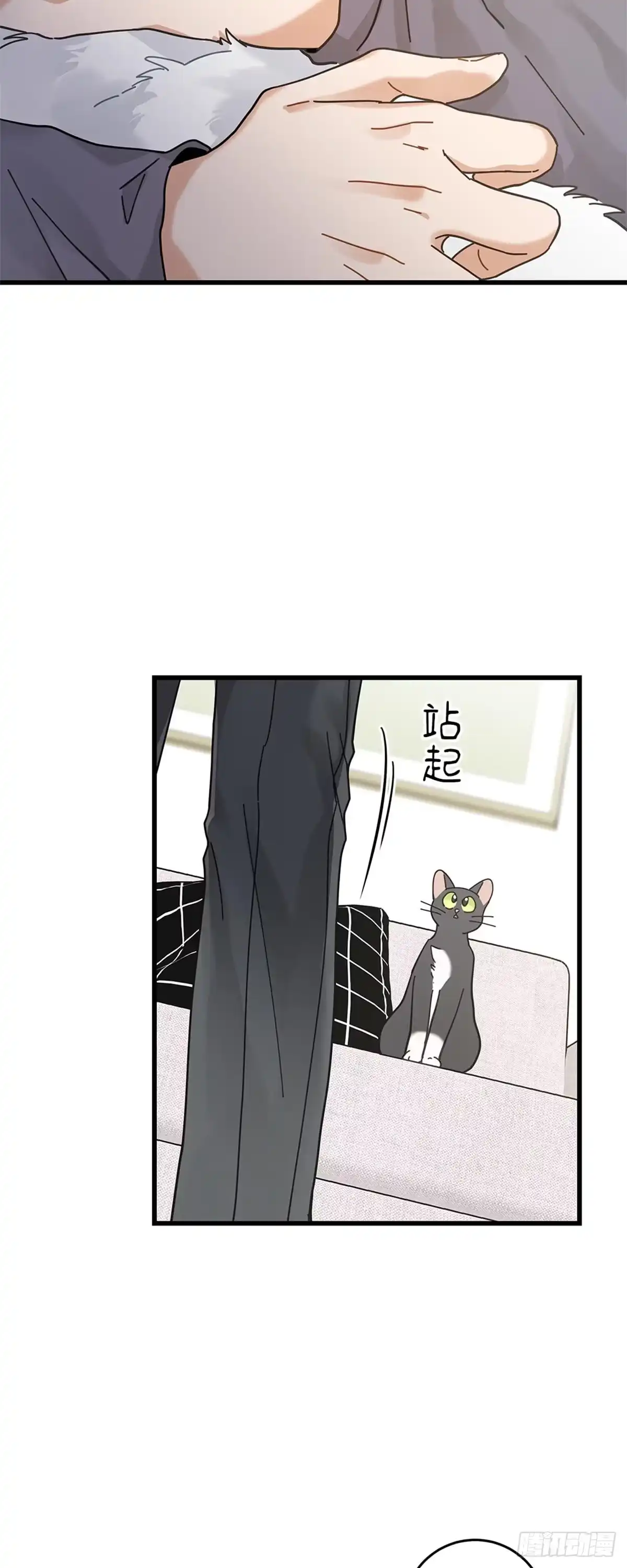 我独一无二的猫咪 第32话 第15页