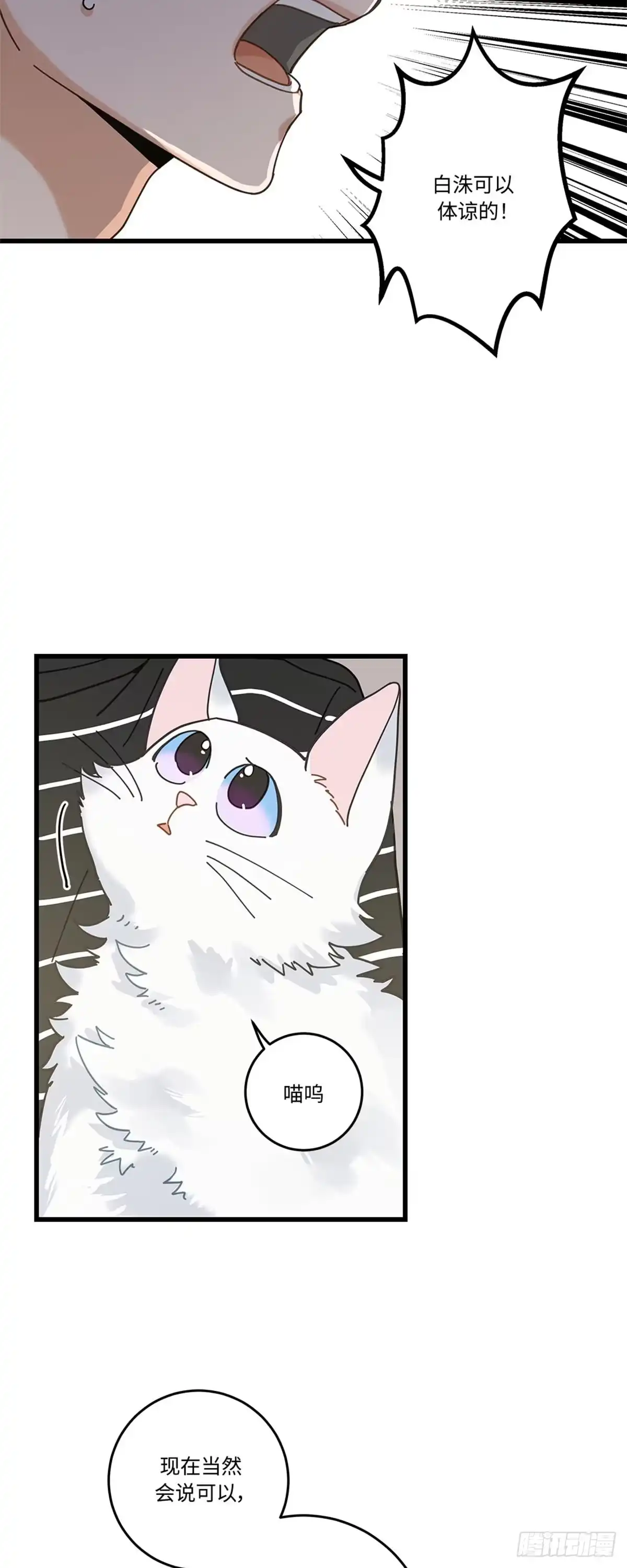 我独一无二的猫咪 第32话 第12页