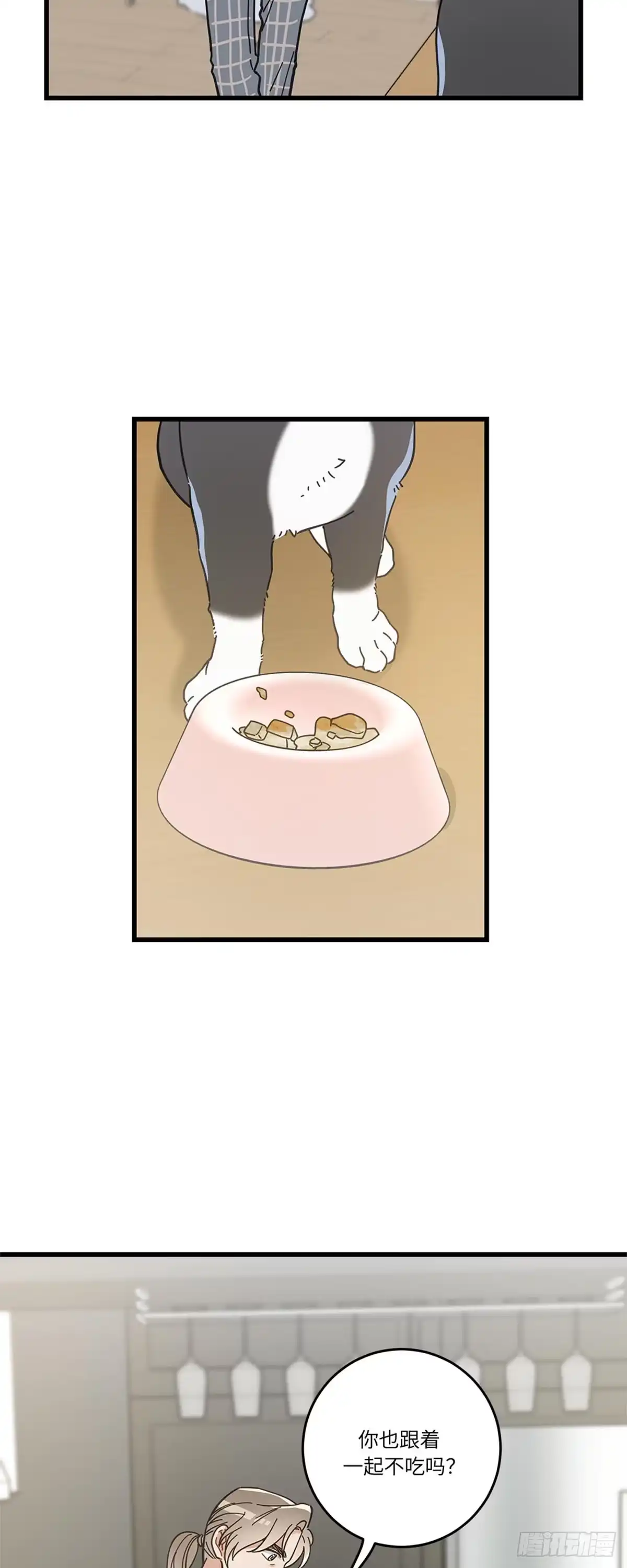 我独一无二的猫咪 第33话 第12页