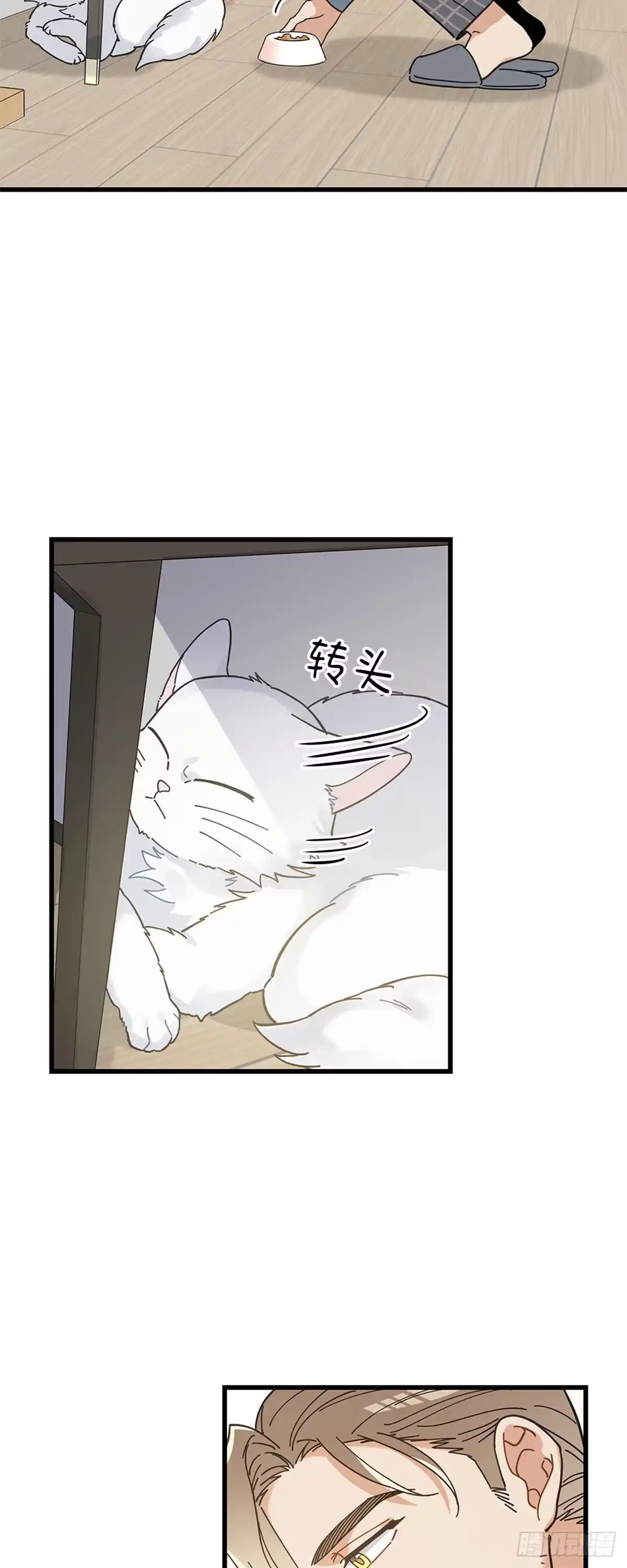 我独一无二的猫咪 第33话 第9页