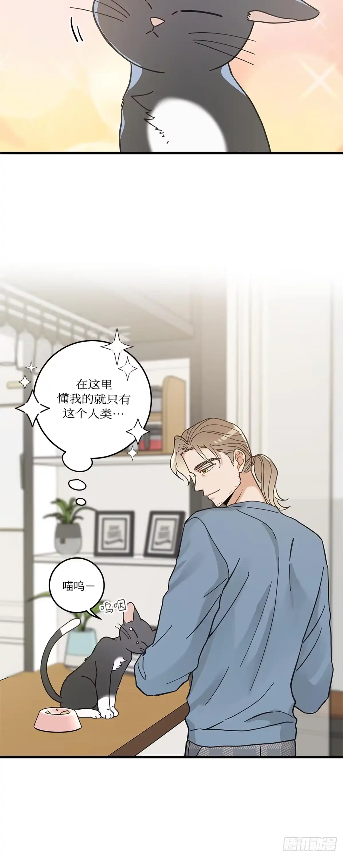 我独一无二的猫咪 第33话 第15页