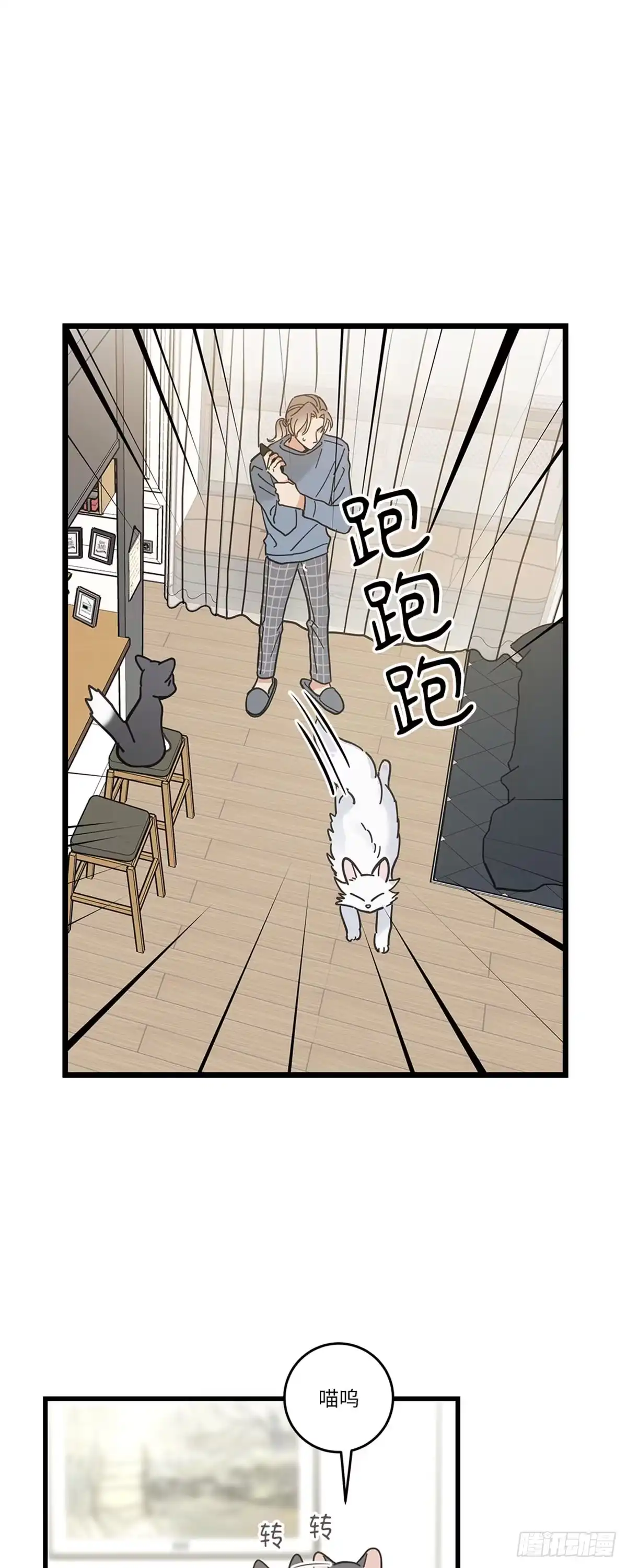 我独一无二的猫咪 第33话 第35页
