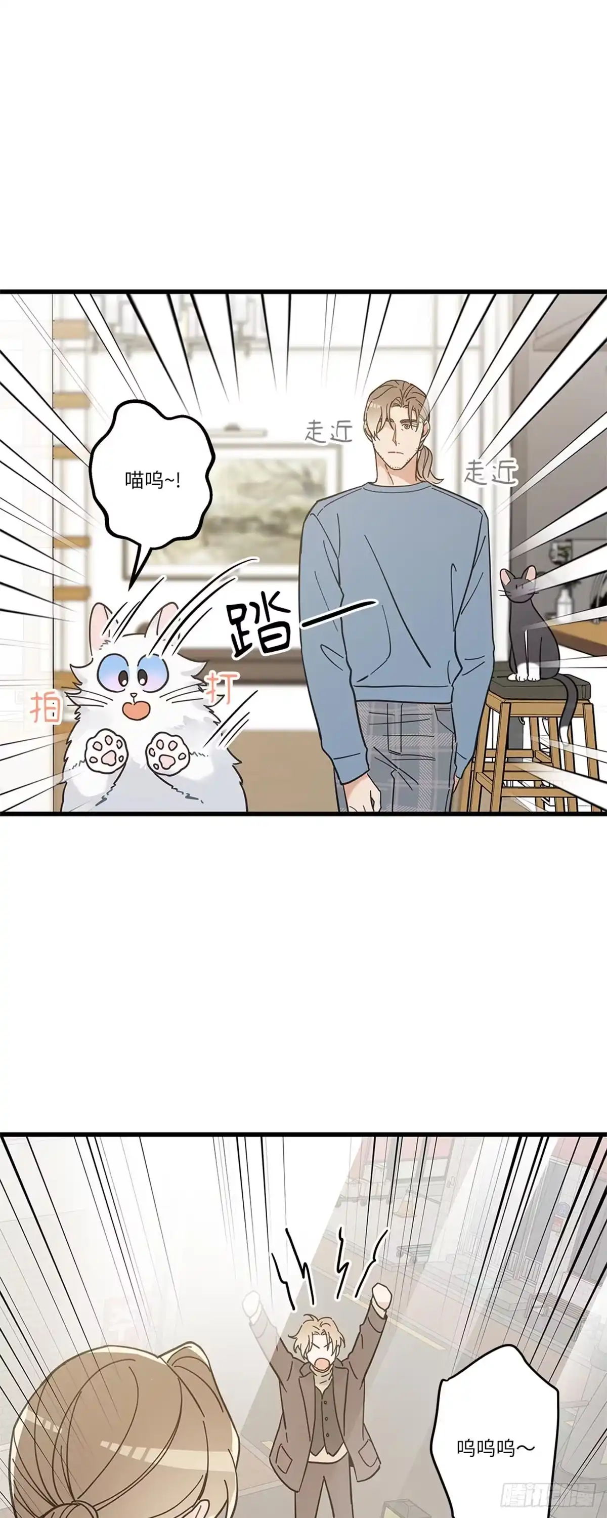 我独一无二的猫咪 第33话 第17页