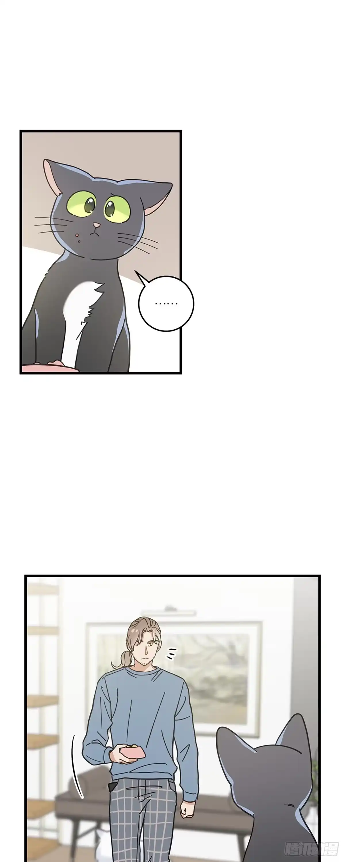 我独一无二的猫咪 第33话 第11页