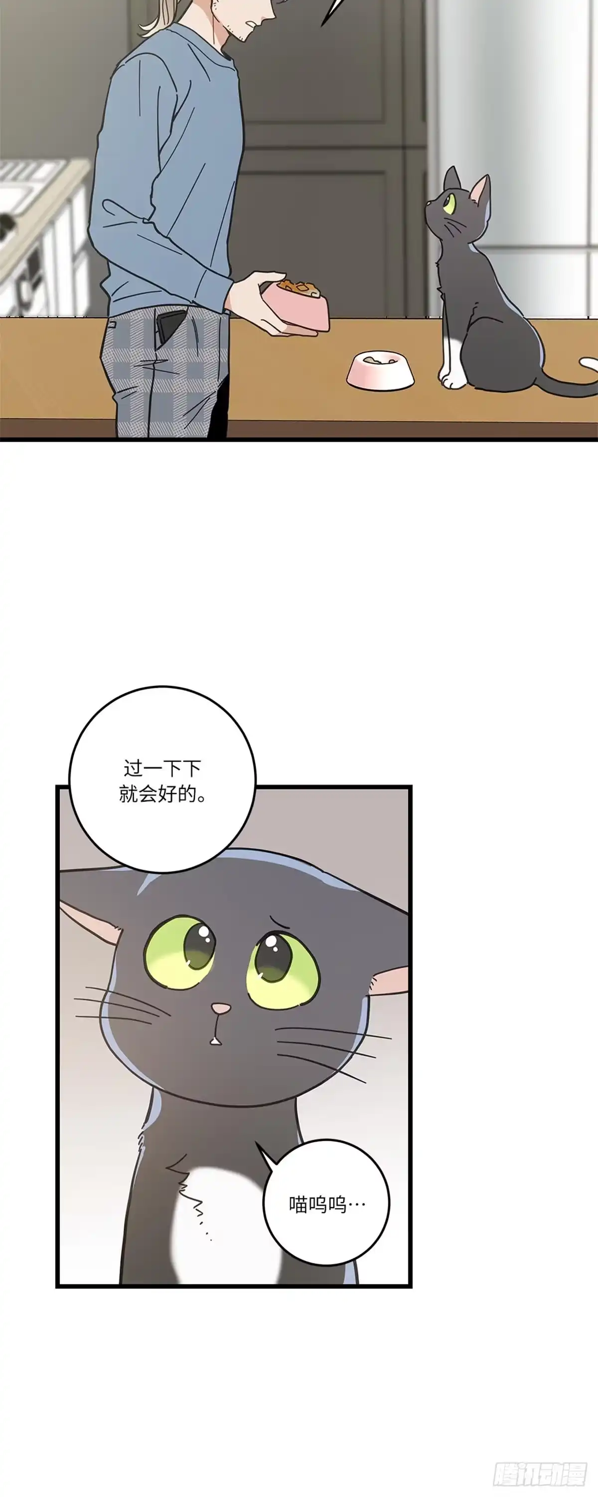 我独一无二的猫咪 第33话 第13页