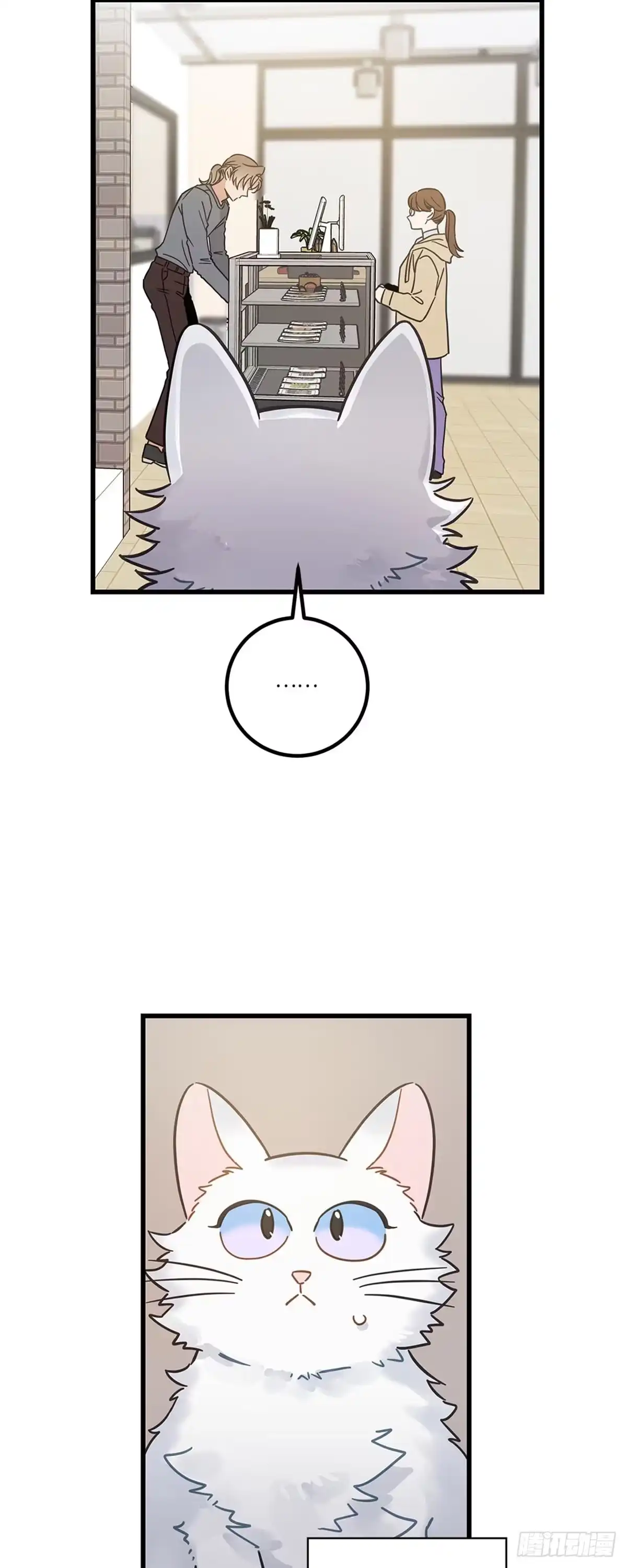 我独一无二的猫咪 第34话 第7页