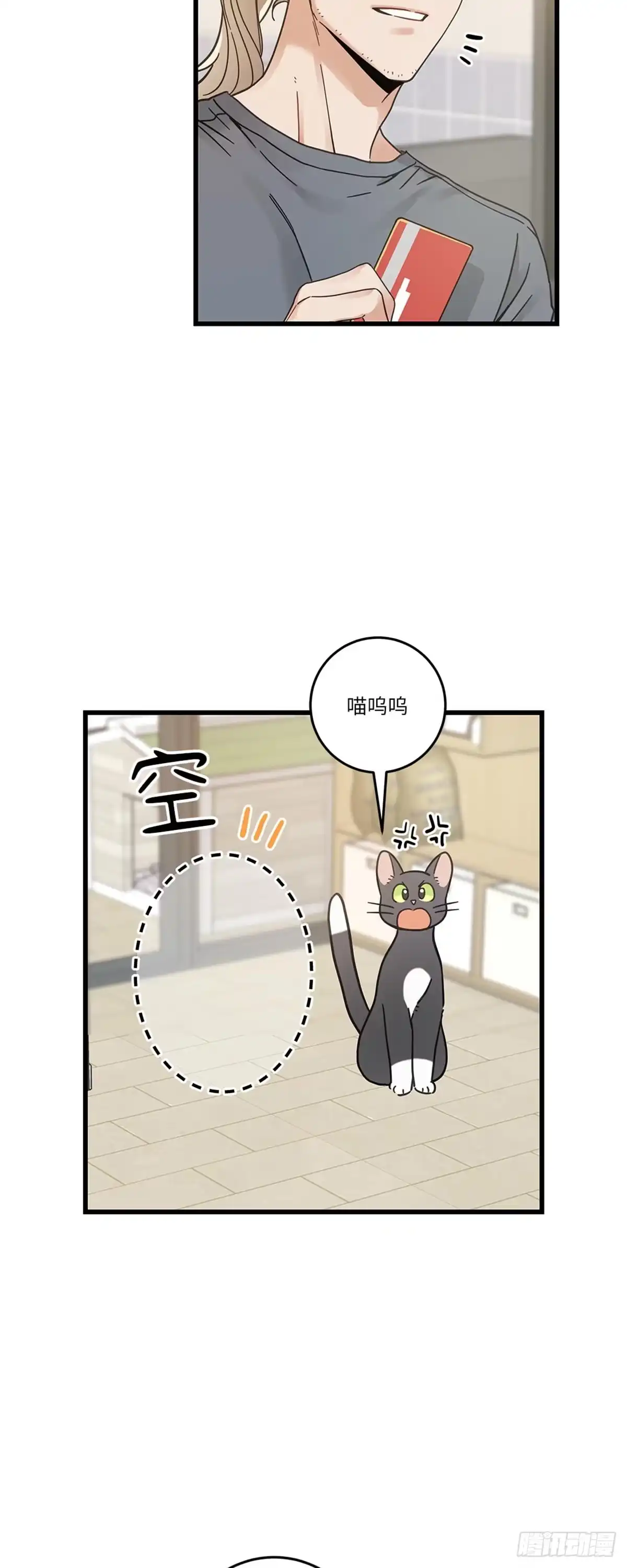 我独一无二的猫咪 第34话 第12页