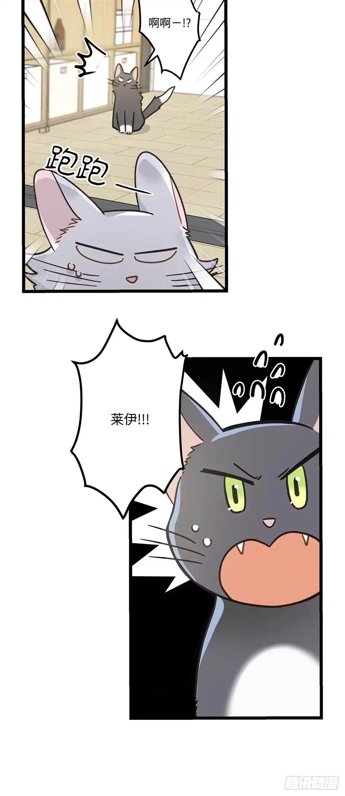 我独一无二的猫咪 第34话 第10页
