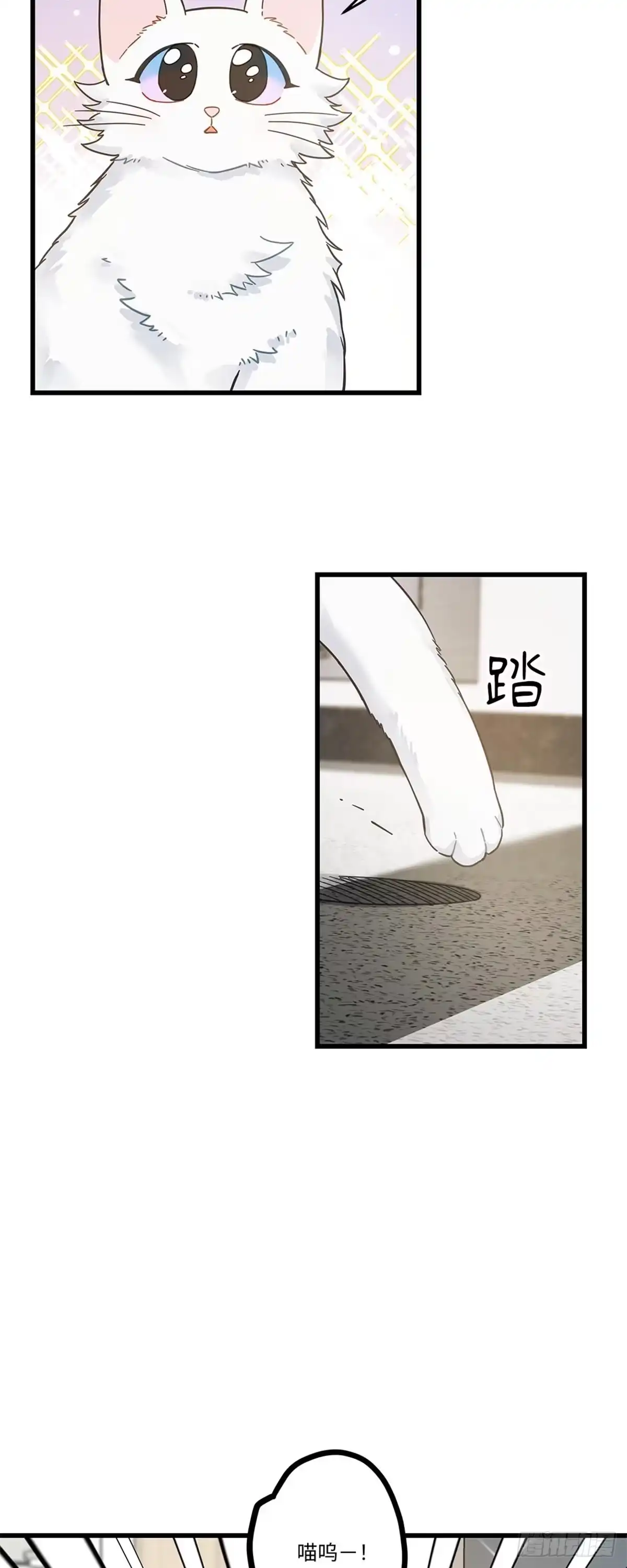 我独一无二的猫咪 第34话 第22页