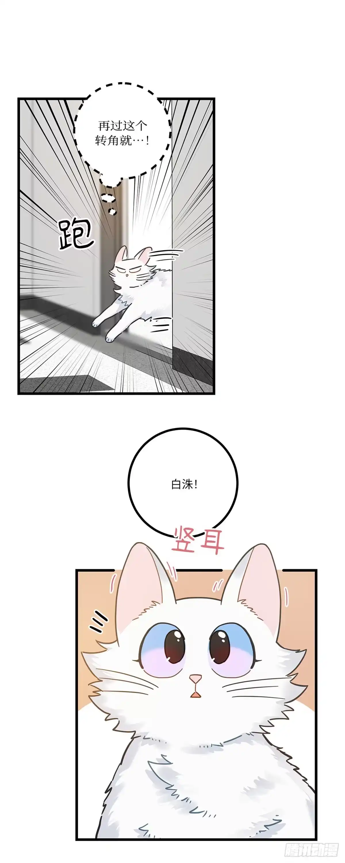 我独一无二的猫咪 第34话 第20页