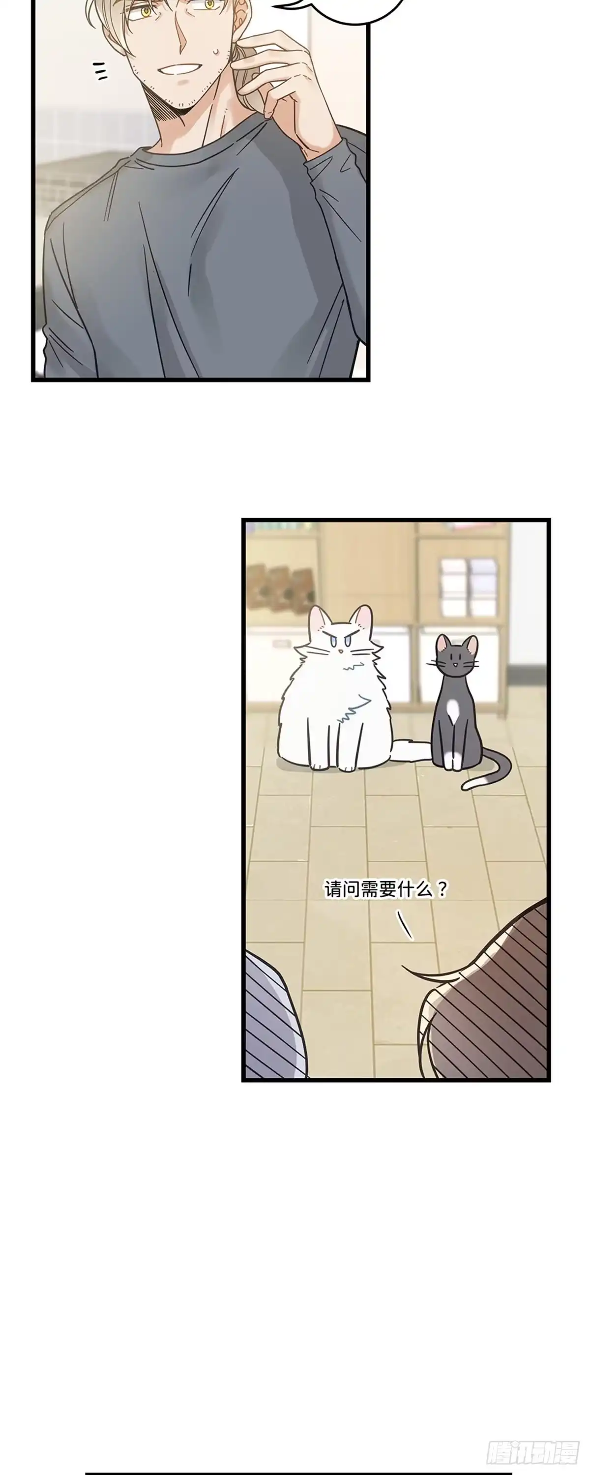 我独一无二的猫咪 第34话 第6页