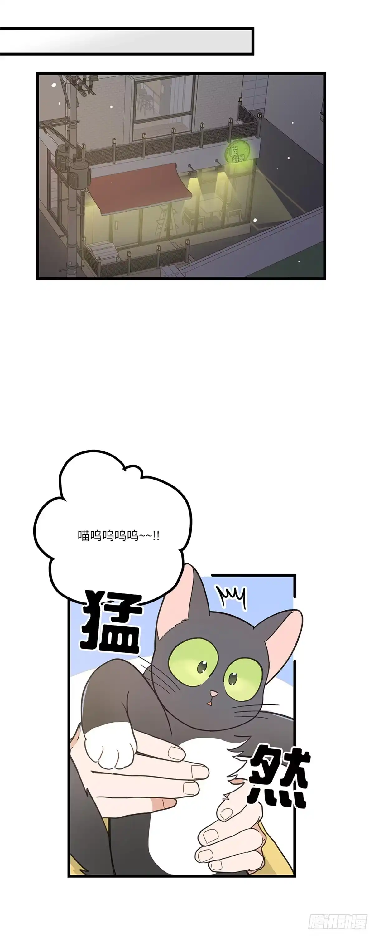 我独一无二的猫咪 第36话 第19页