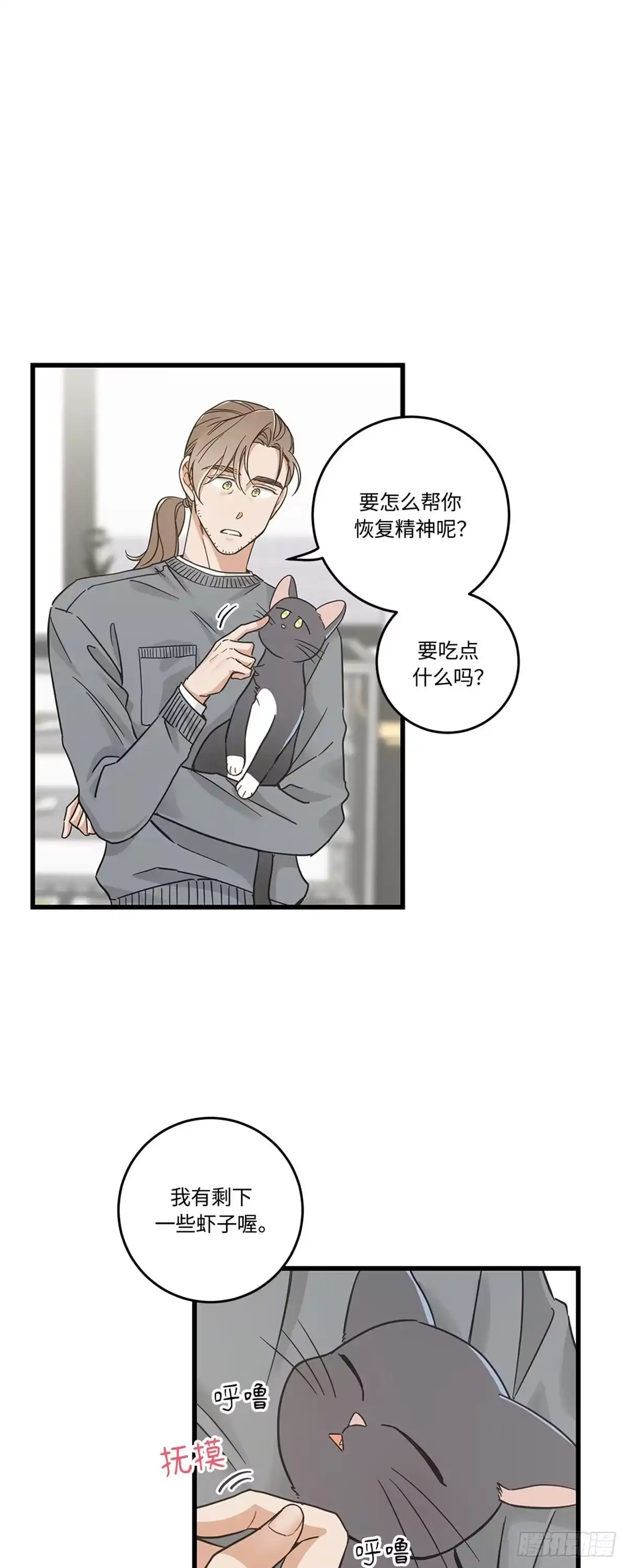 我独一无二的猫咪 第37话 第15页