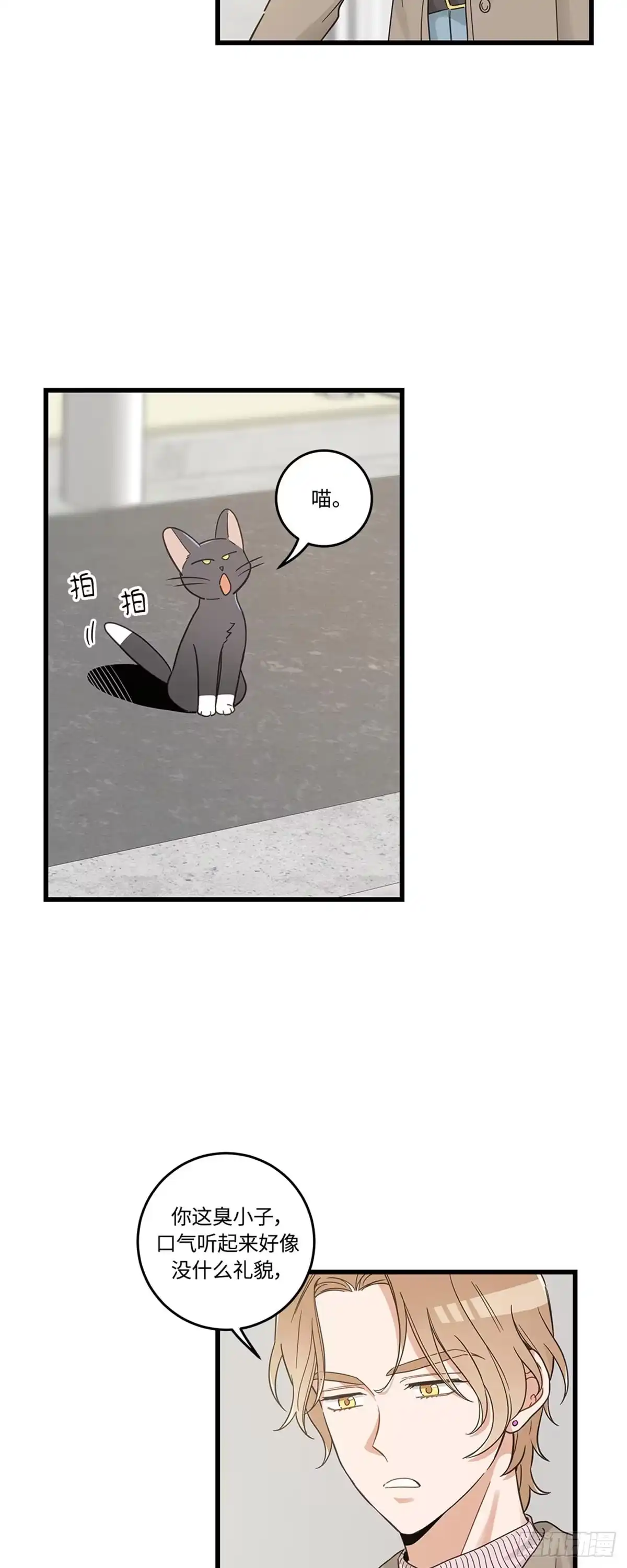 我独一无二的猫咪 第37话 第2页