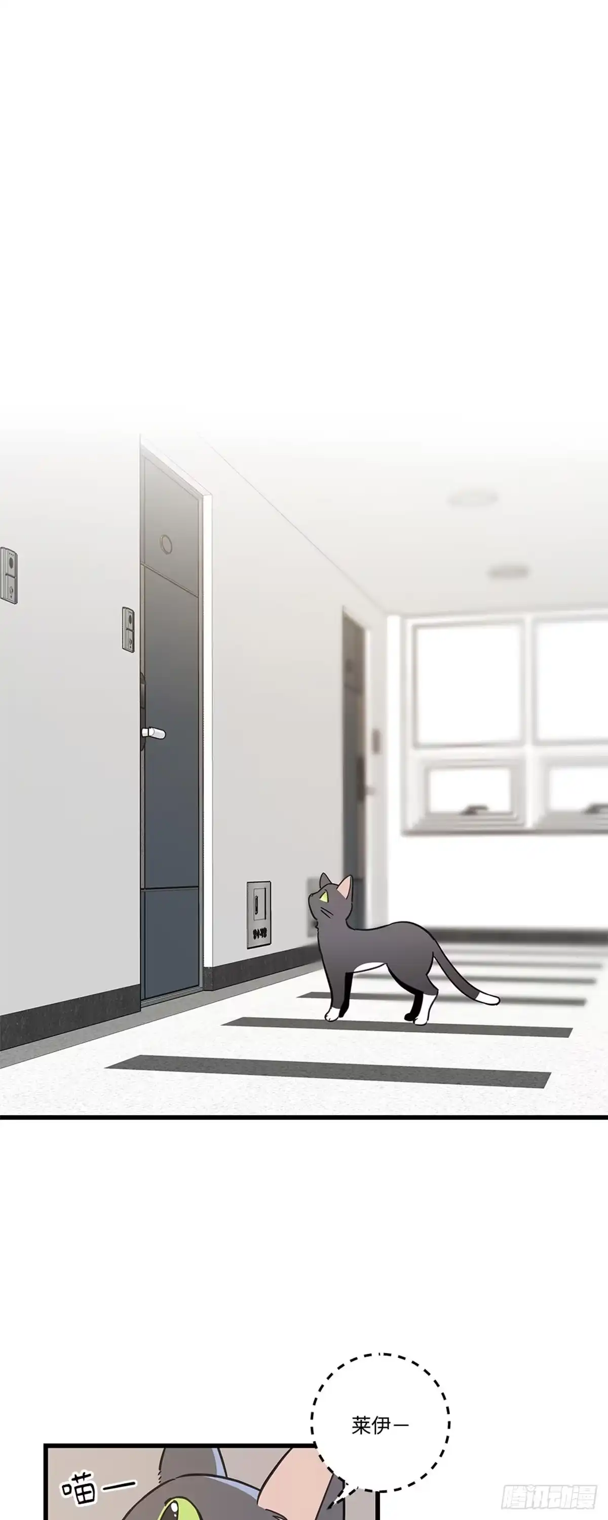 我独一无二的猫咪 第37话 第6页