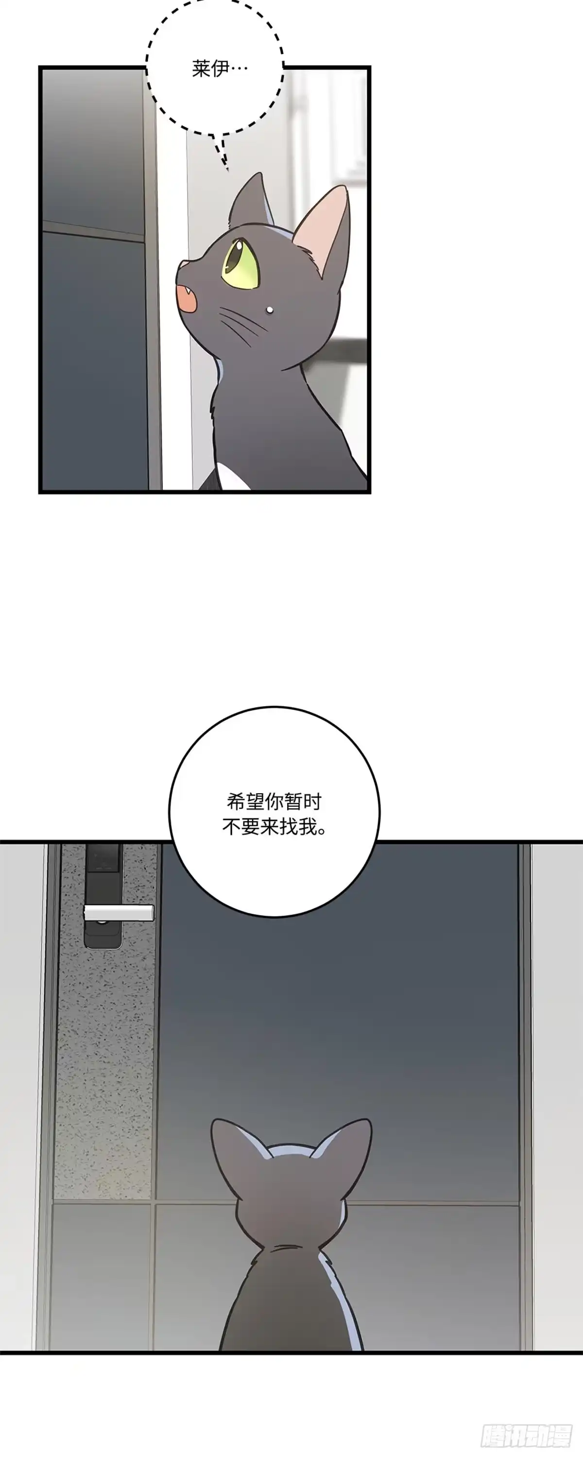 我独一无二的猫咪 第37话 第9页