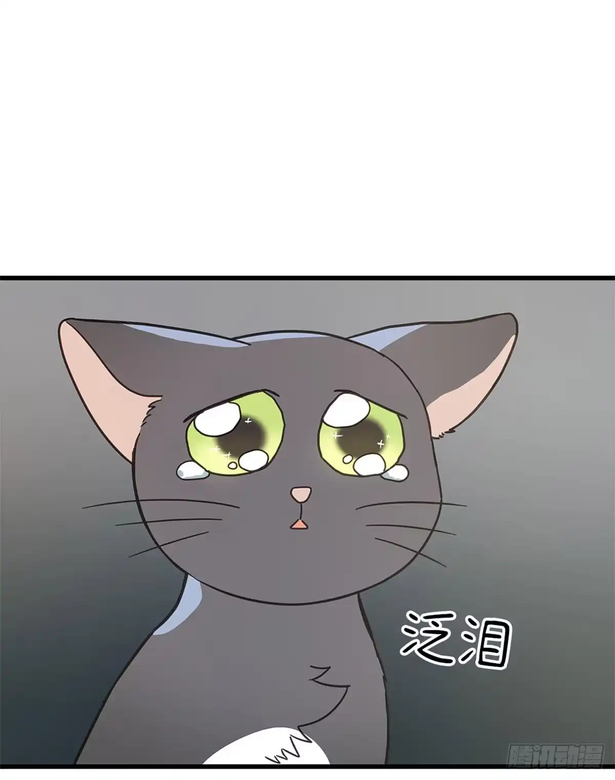 我独一无二的猫咪 第37话 第10页