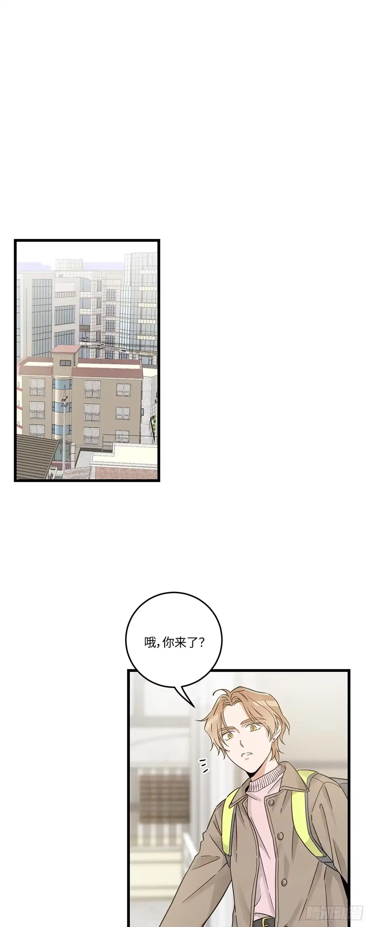 我独一无二的猫咪 第37话 第1页