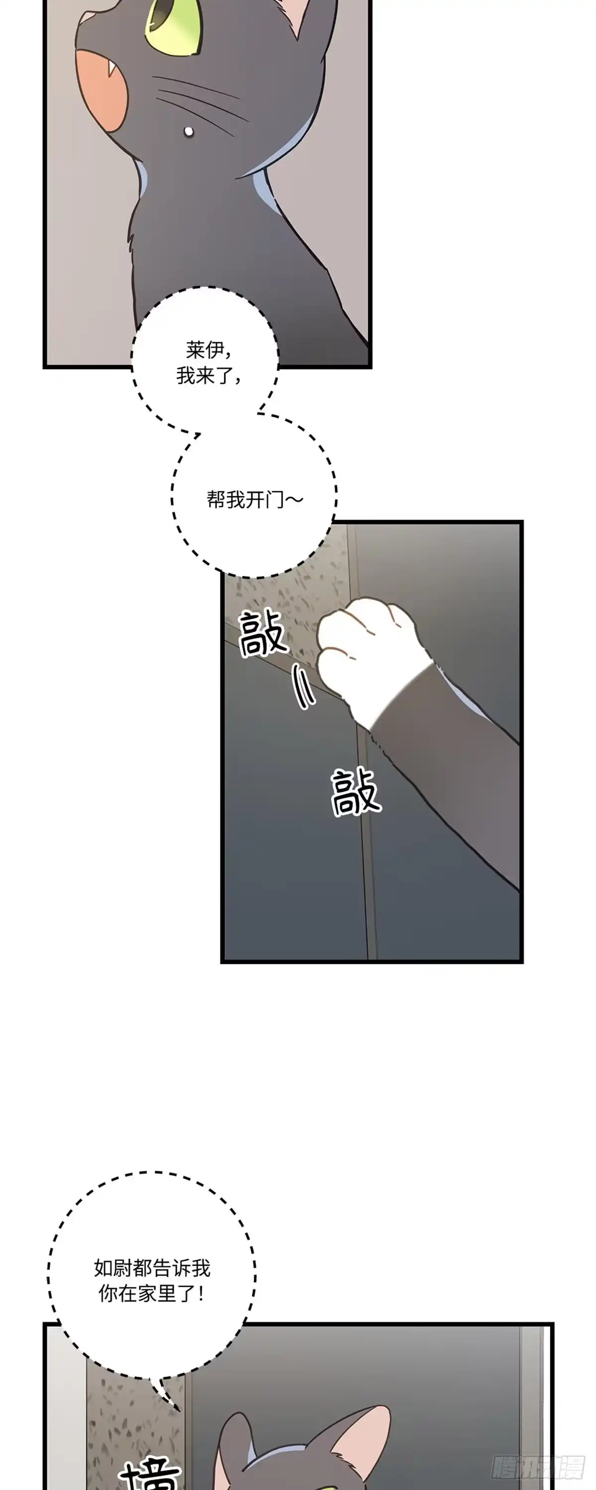 我独一无二的猫咪 第37话 第7页