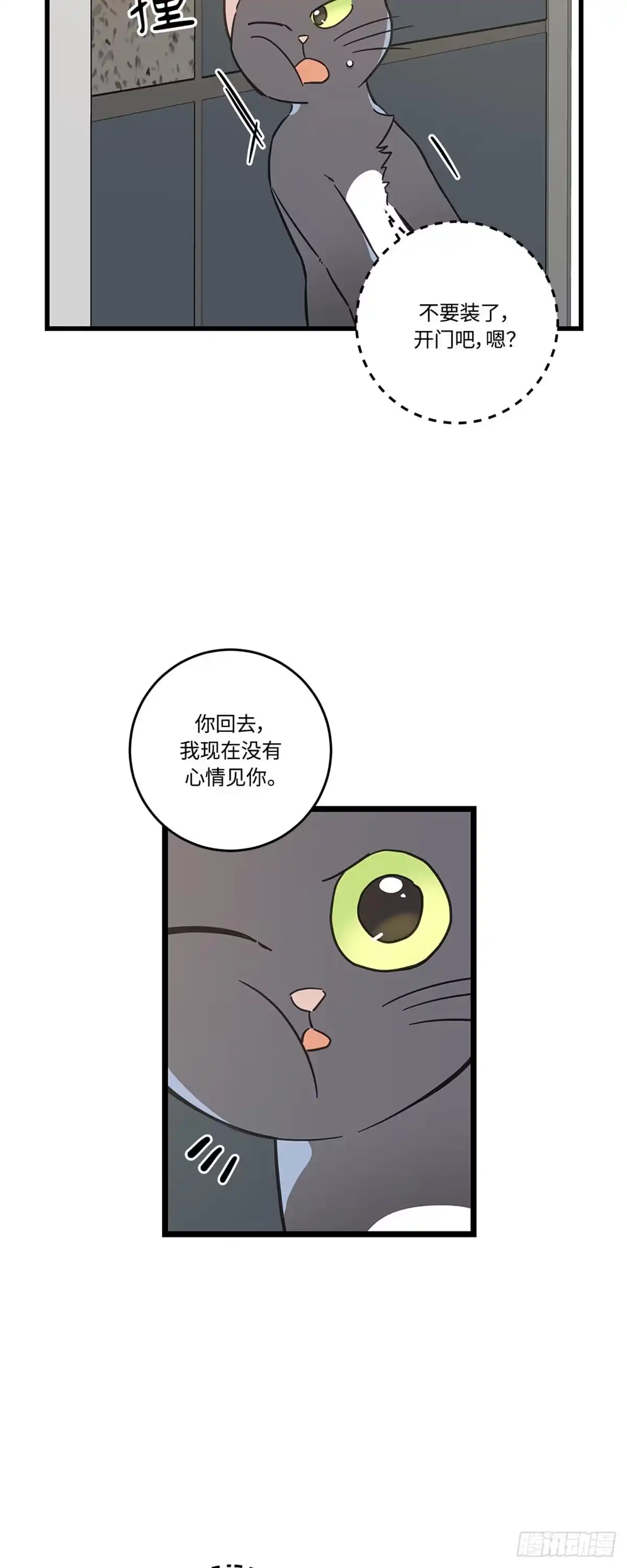 我独一无二的猫咪 第37话 第8页