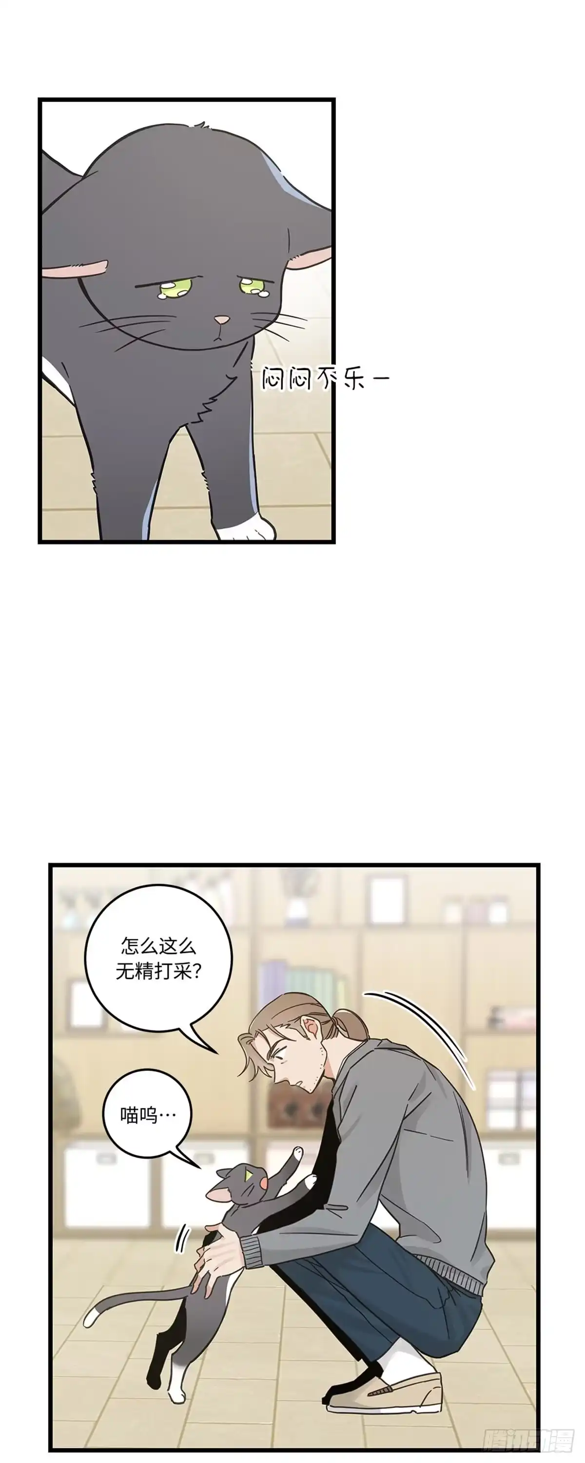 我独一无二的猫咪 第37话 第14页