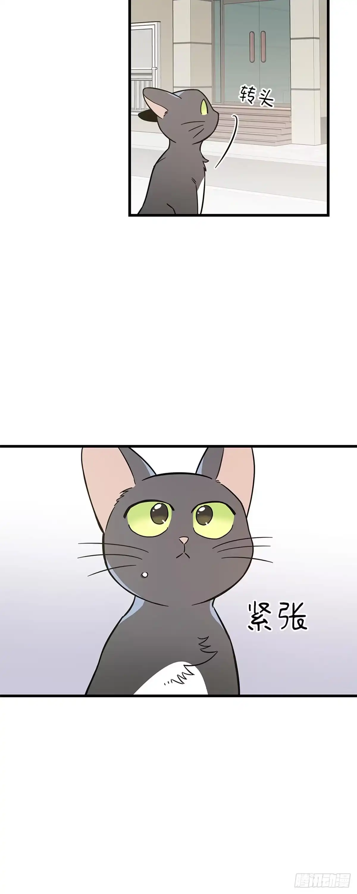 我独一无二的猫咪 第37话 第4页