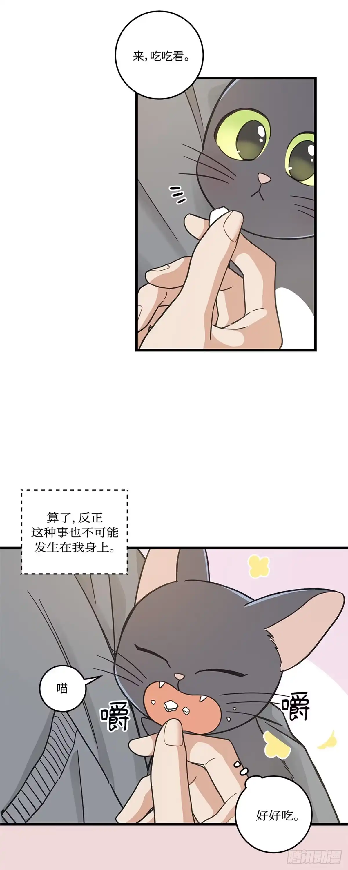 我独一无二的猫咪 第37话 第18页