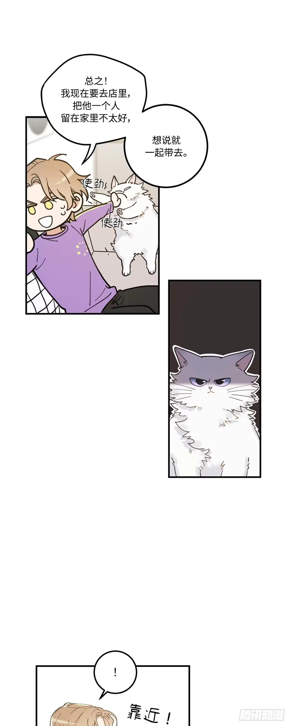 我独一无二的猫咪 第3话 第43页