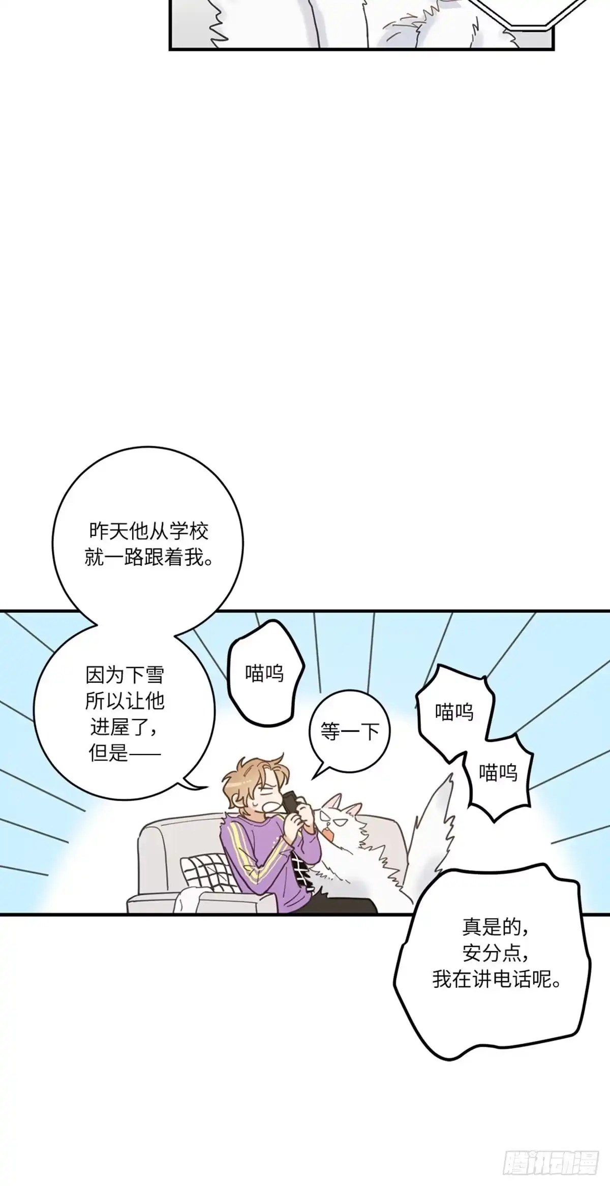 我独一无二的猫咪 第3话 第42页