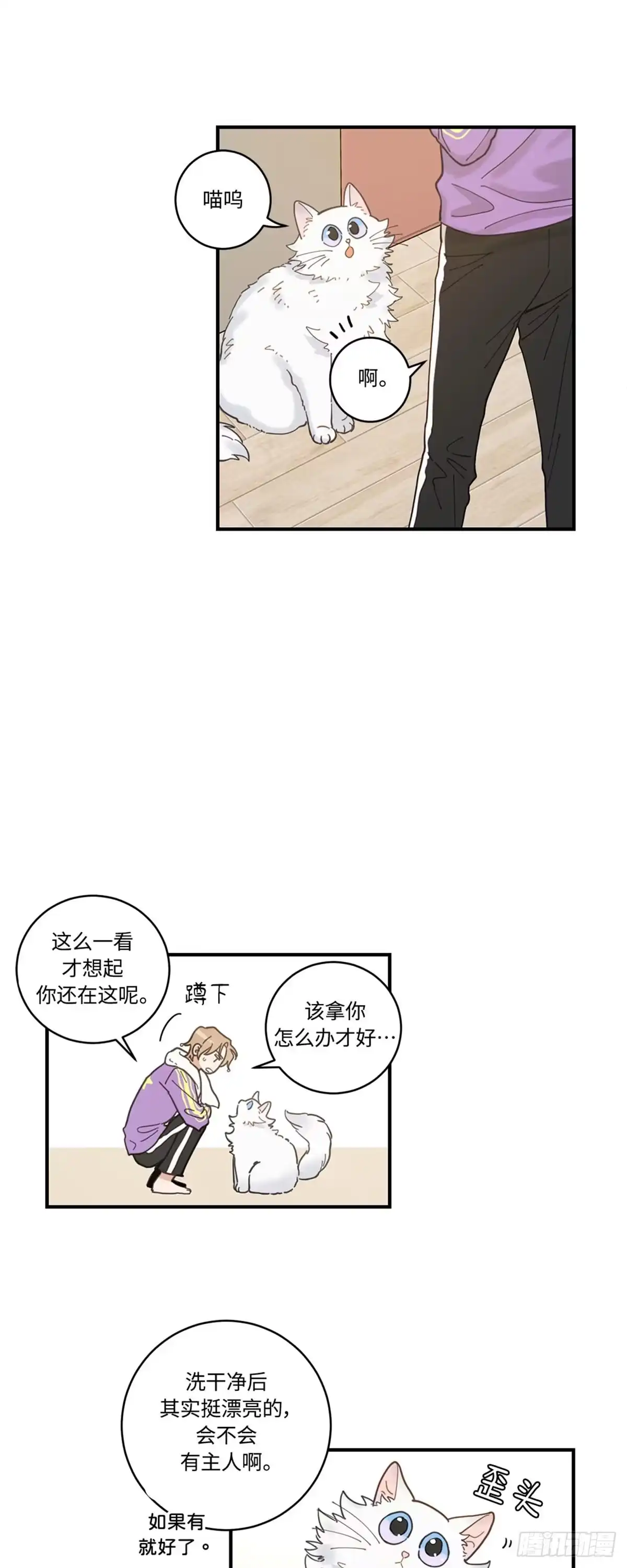 我独一无二的猫咪 第3话 第37页