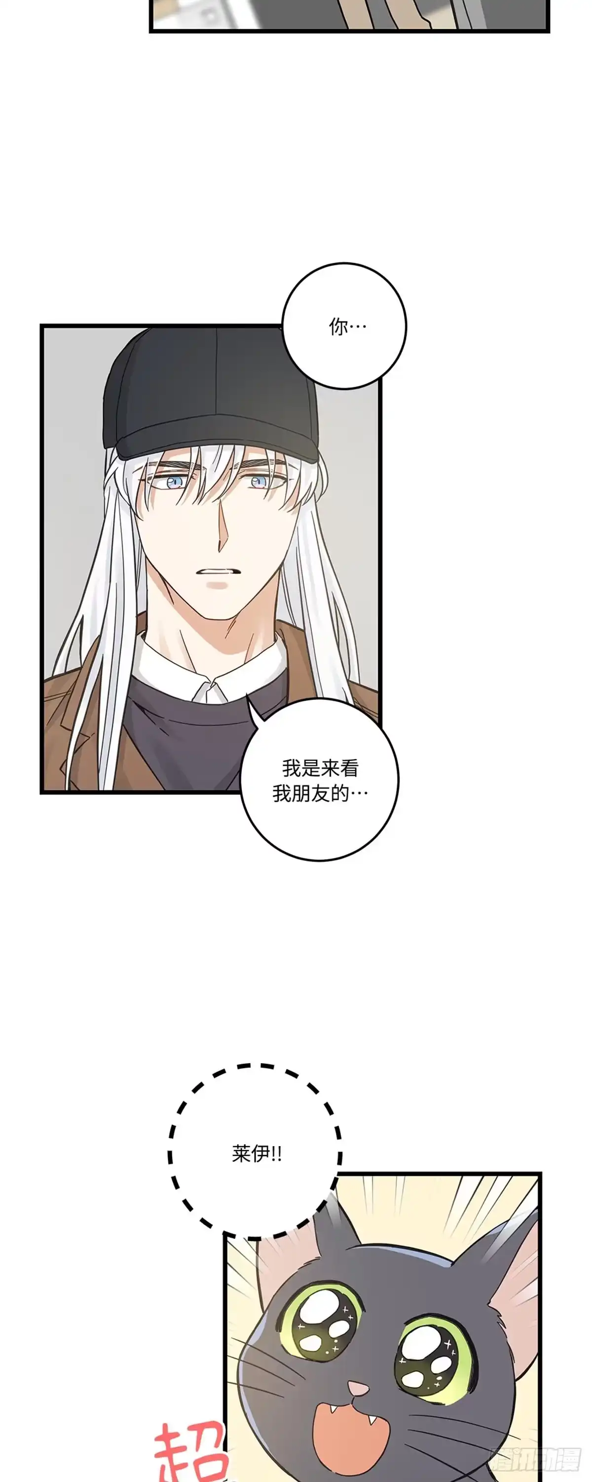 我独一无二的猫咪 第39话 第47页