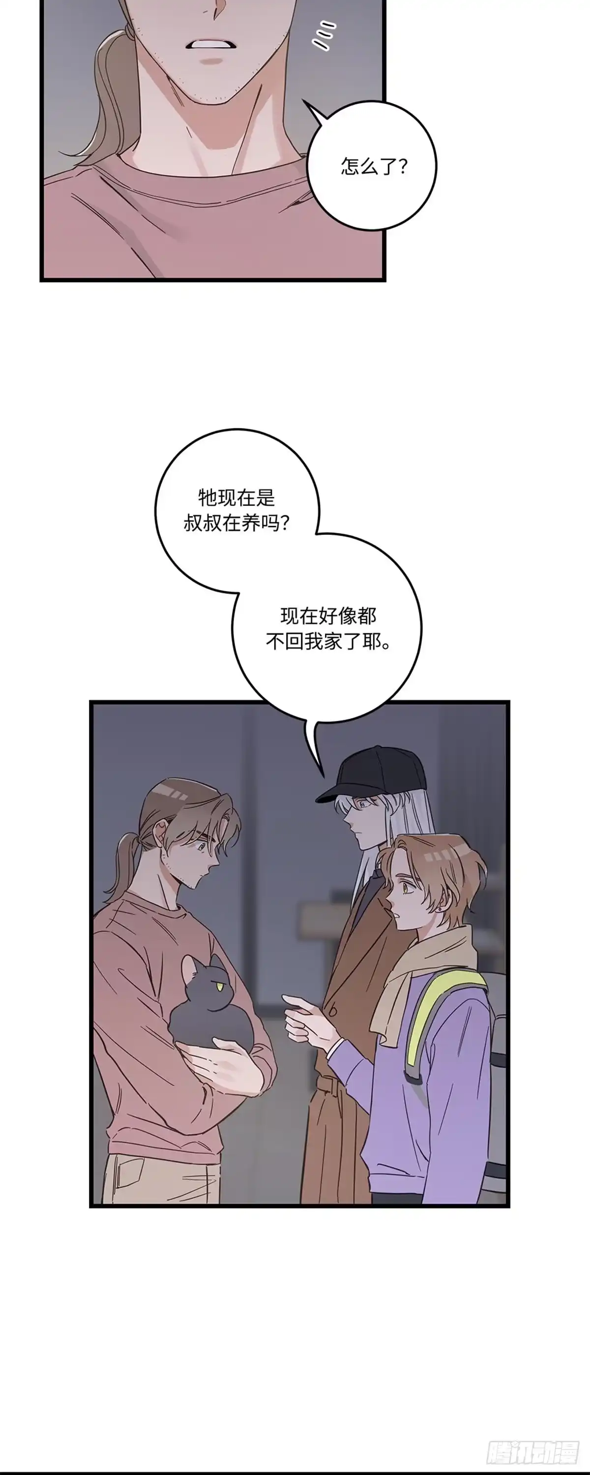 我独一无二的猫咪 第40话 第13页