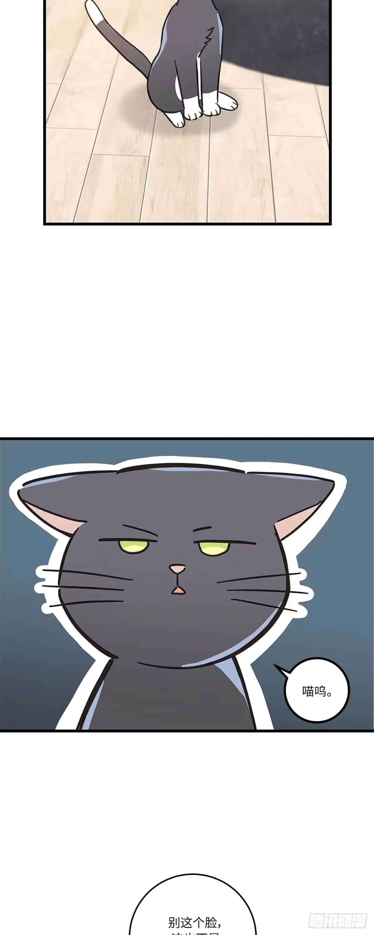 我独一无二的猫咪 第40话 第29页