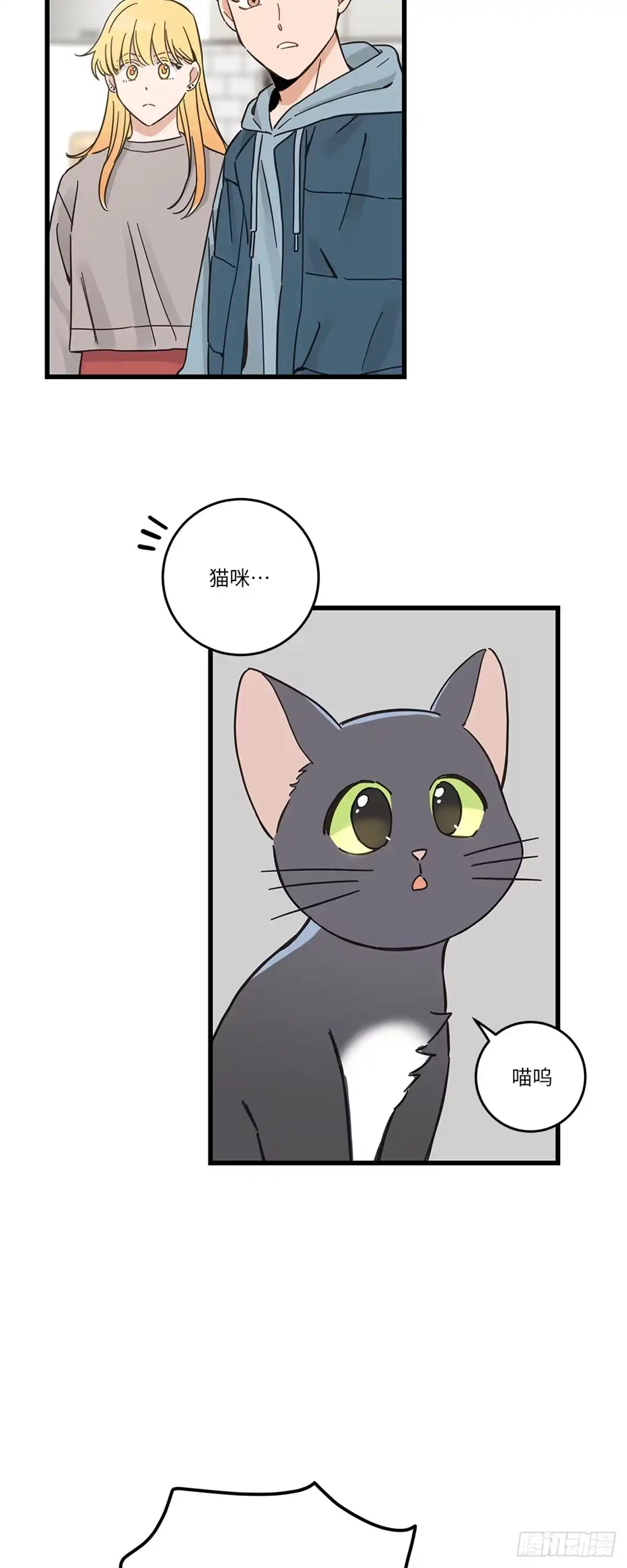 我独一无二的猫咪 第40话 第37页