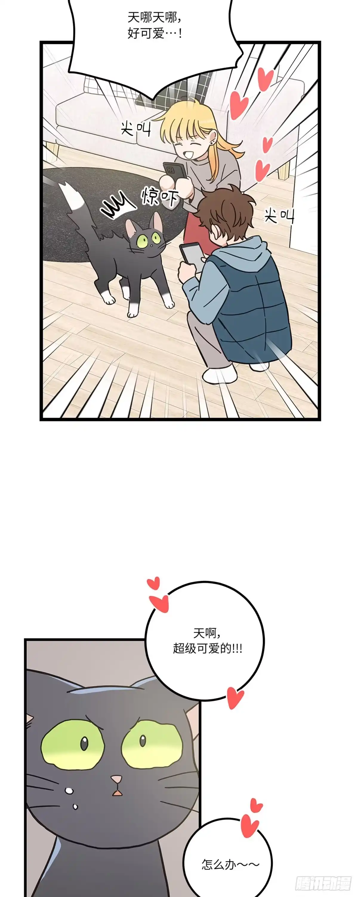我独一无二的猫咪 第40话 第38页