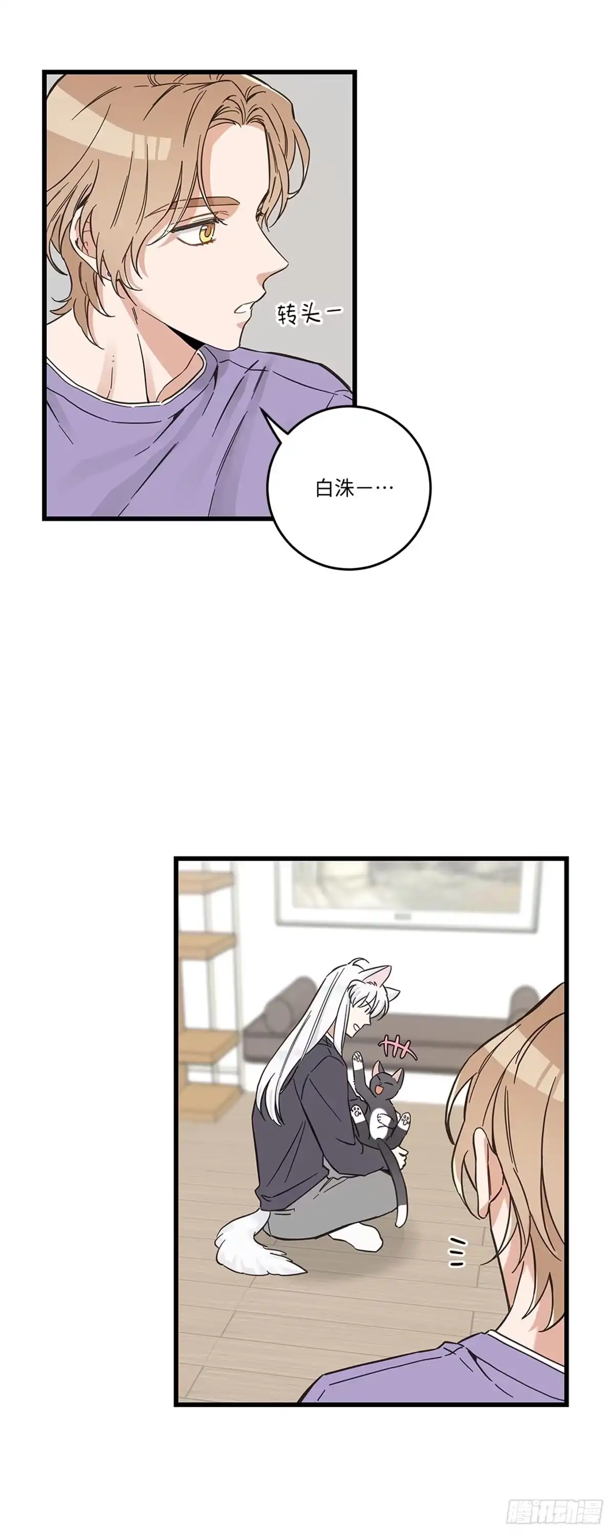 我独一无二的猫咪 第40话 第7页
