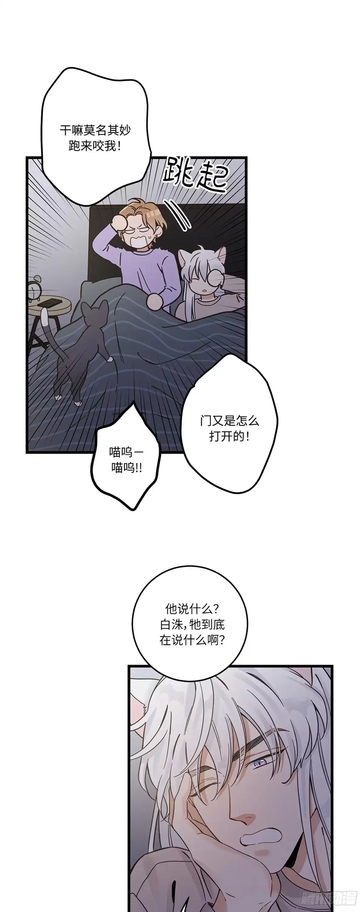 我独一无二的猫咪 第41话 第18页
