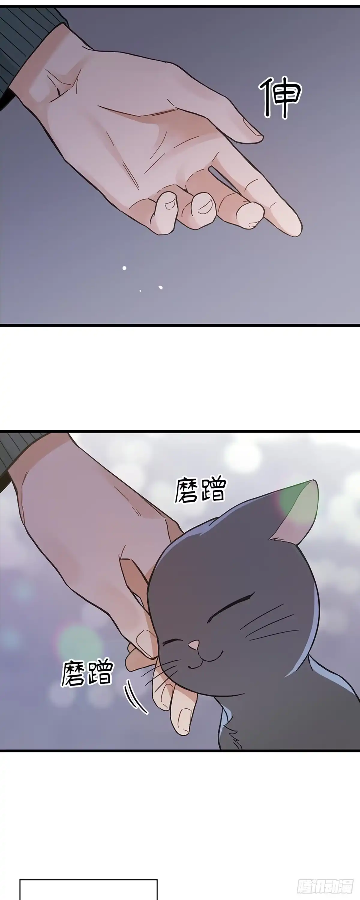 我独一无二的猫咪 第41话 第37页
