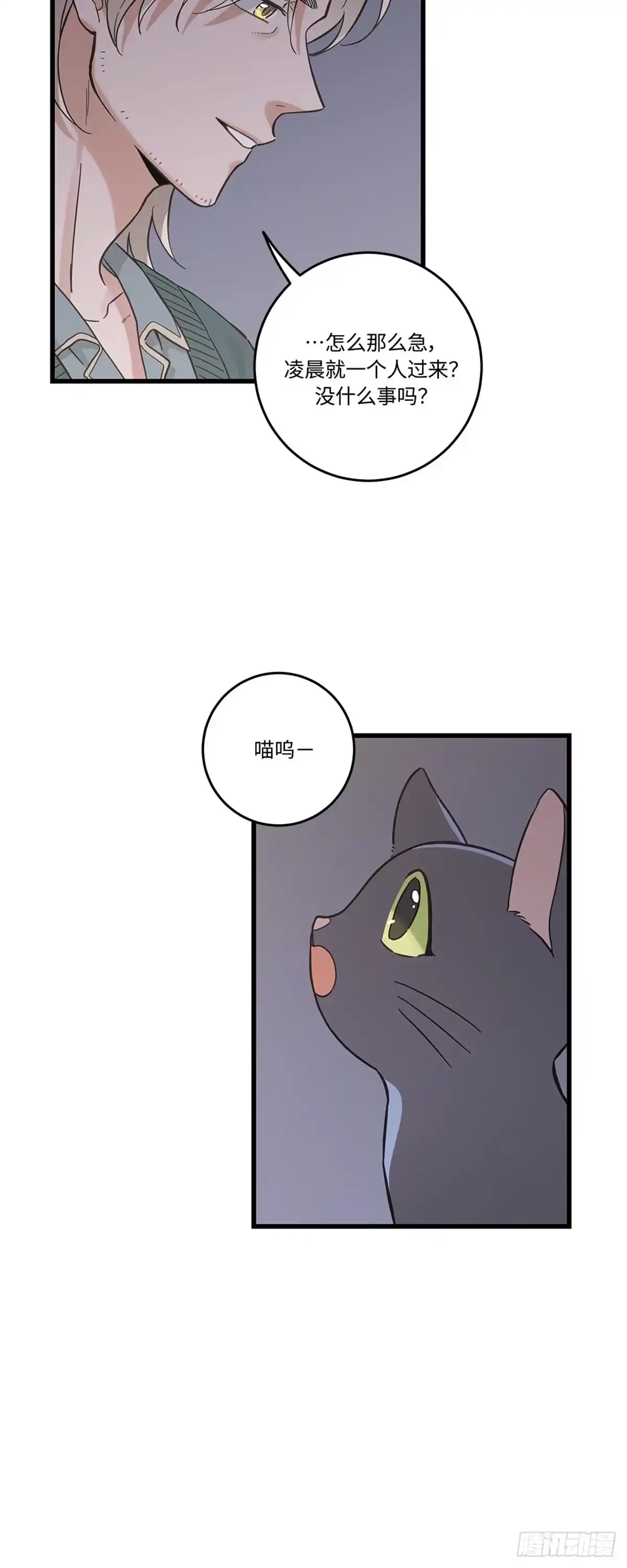 我独一无二的猫咪 第41话 第36页